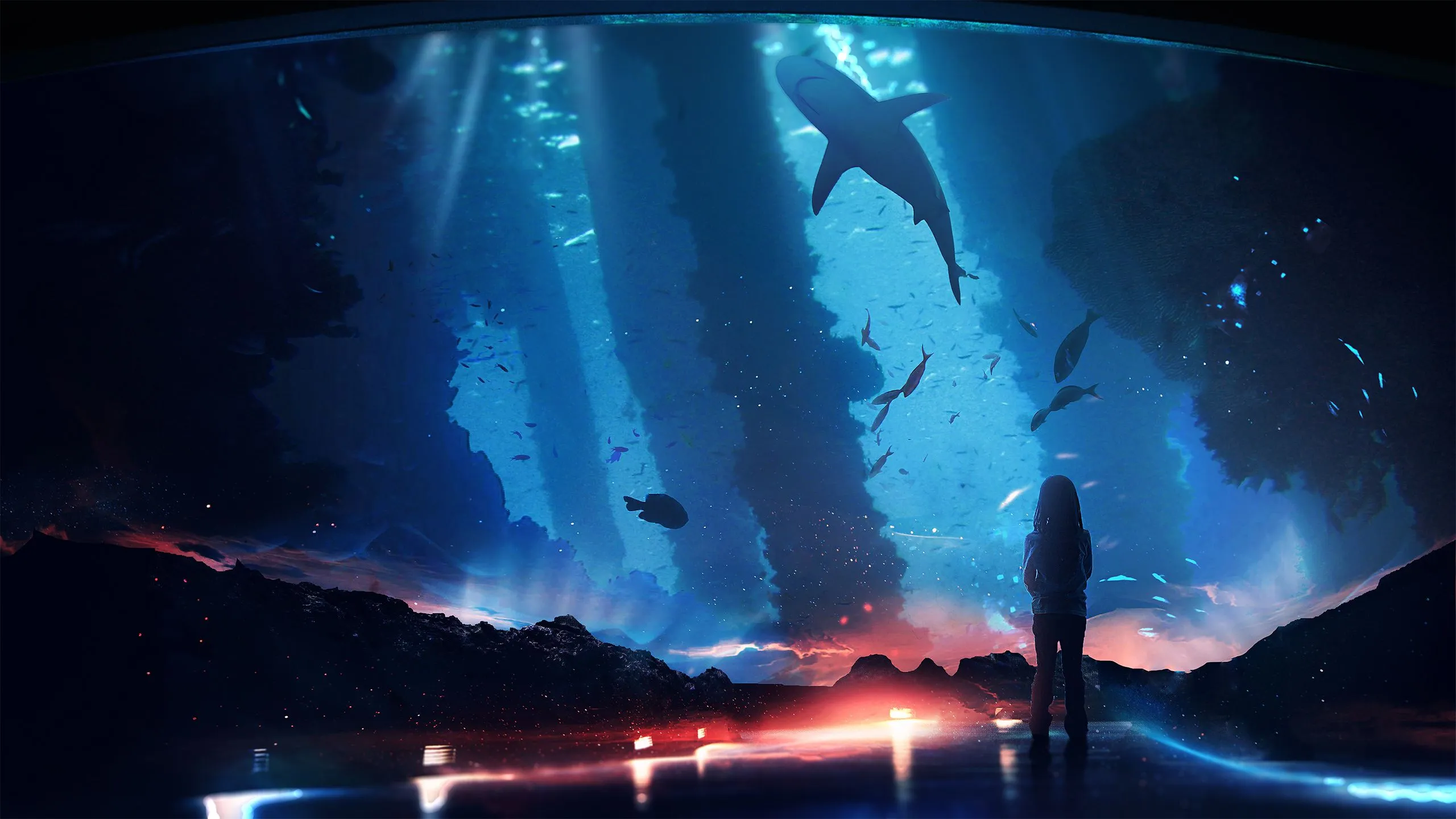 Wallpaper Silhouette of Person Standing in Front of Aquarium With Fishes, Background Free Image