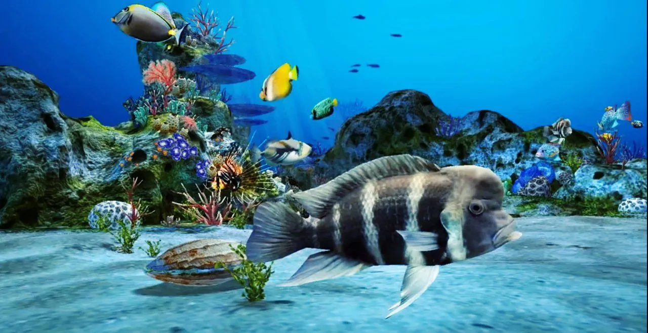 3D aquarium live wallpaper HD your screen realistic with animated fishe and sea coral