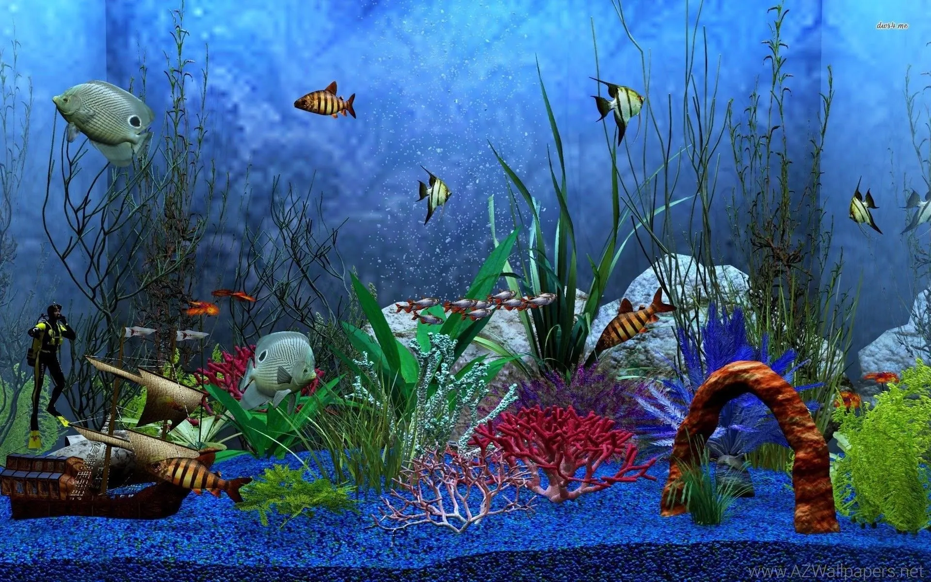Animated Aquarium Desktop Wallpaper
