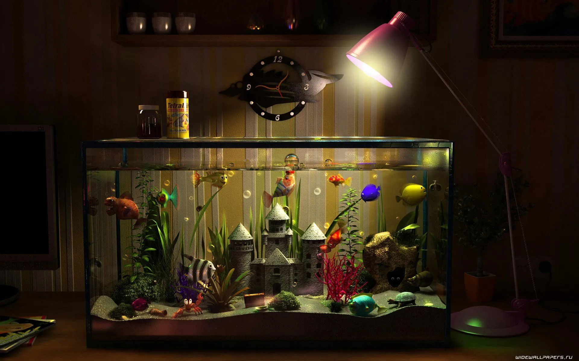 room, Funny, Aquarium Wallpaper HD / Desktop and Mobile Background