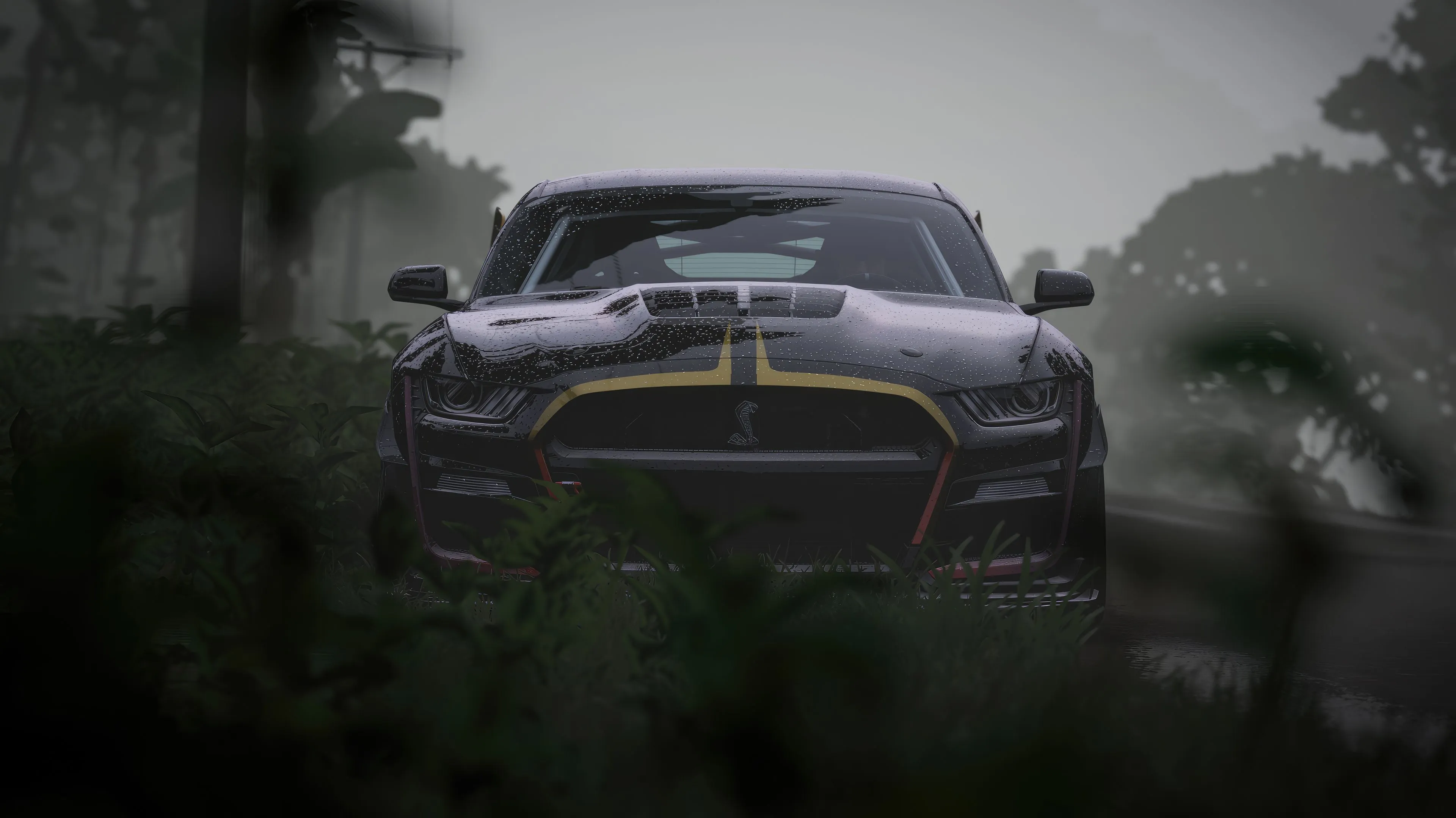 Forza Horizon 5 Ford Mustang Wallpaper, HD Games Wallpaper, 4k Wallpaper, Image, Background, Photos and Picture