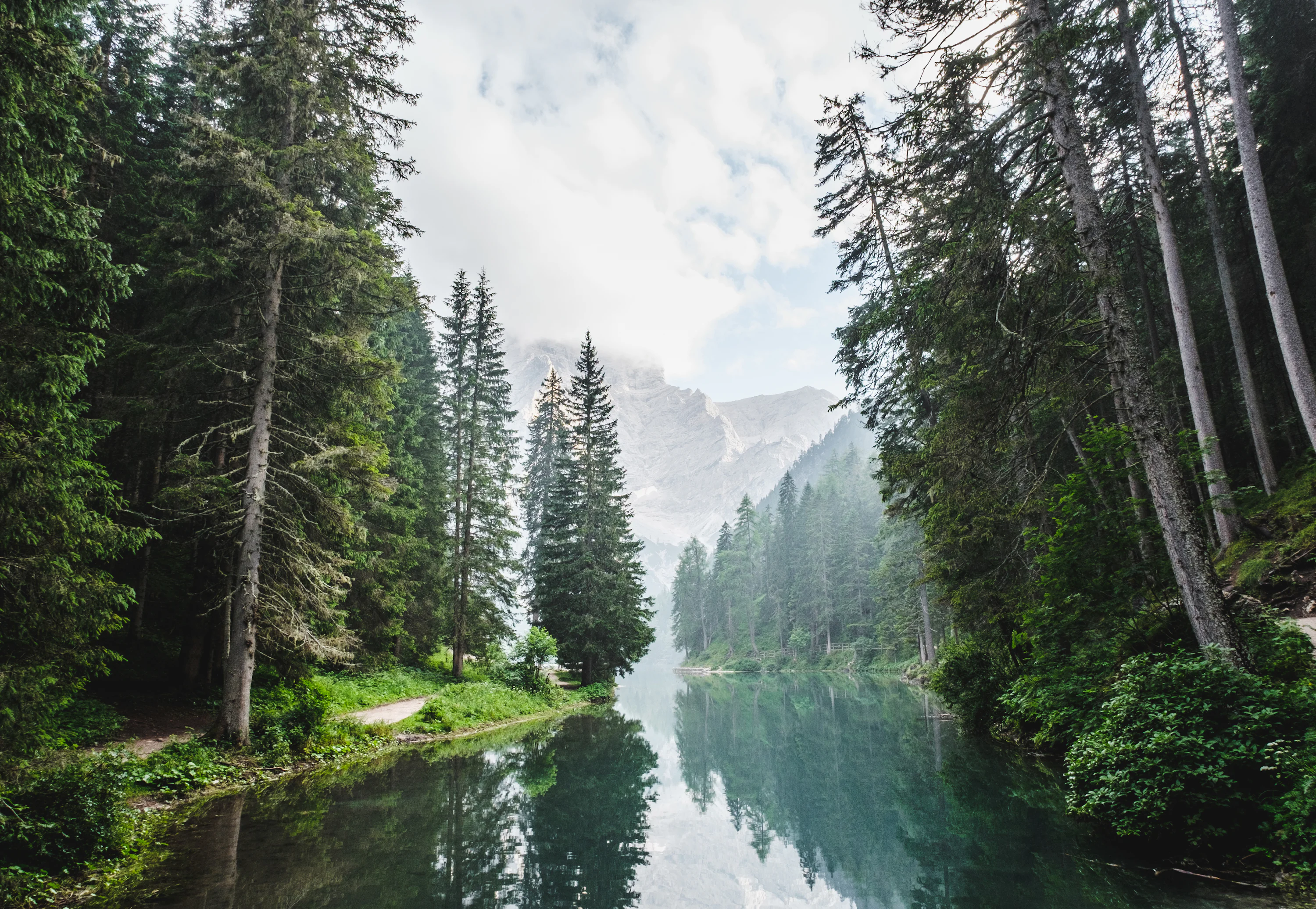 Forest Lake Picture. Download Free Image