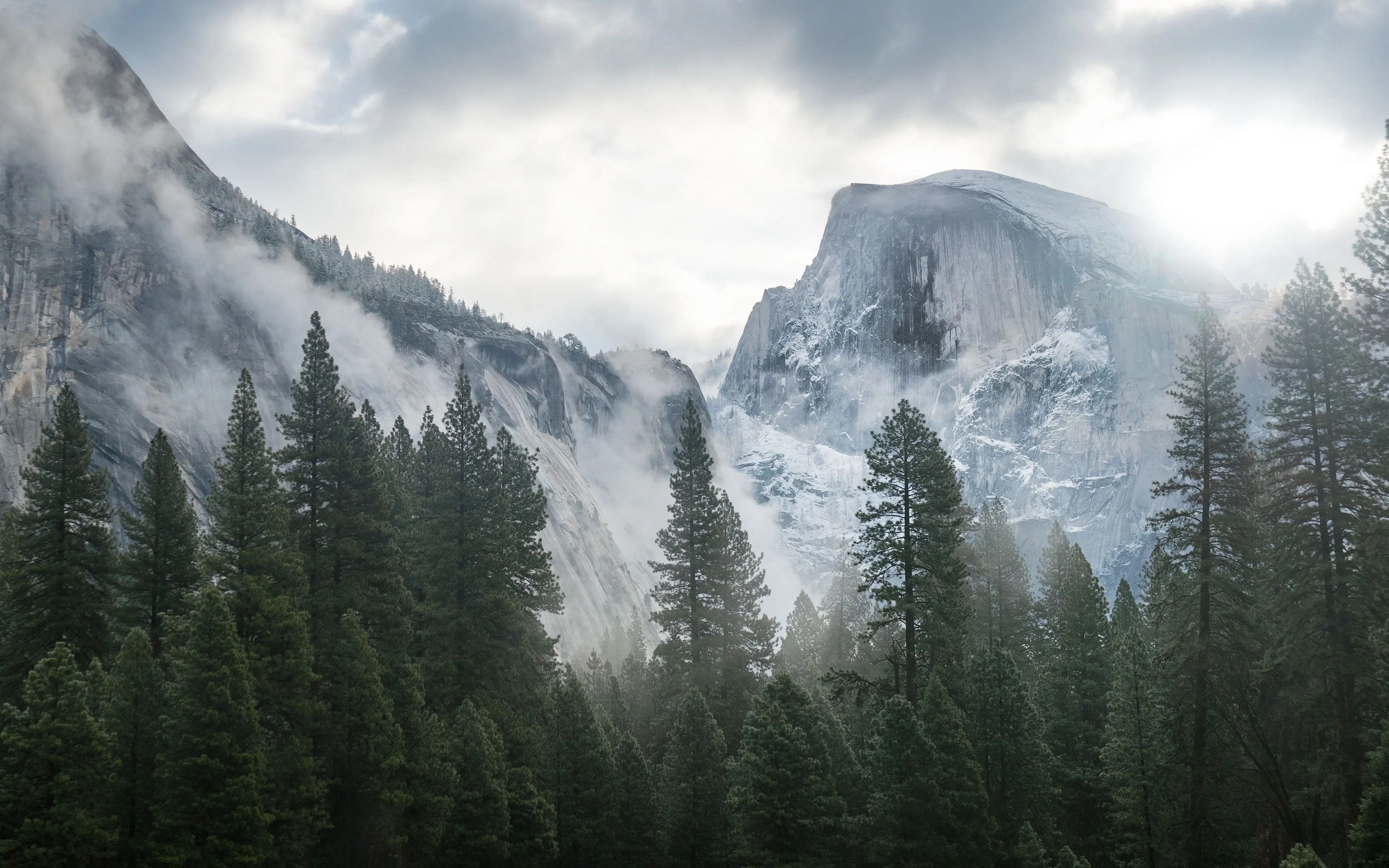 Yosemite Winter Fog Forest 4K HD Desktop