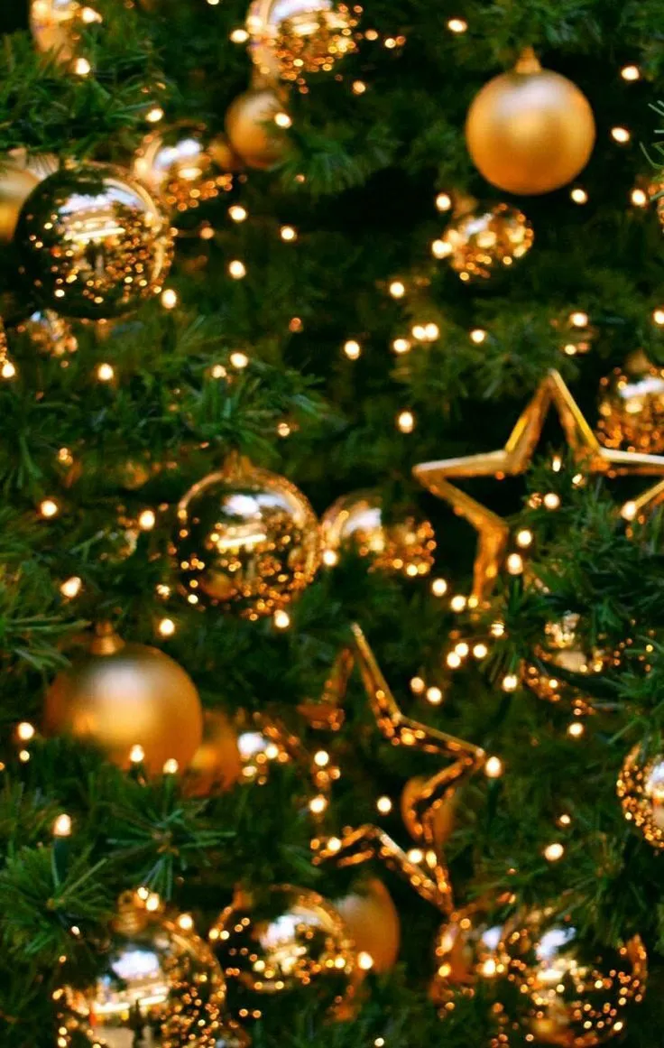 Christmas tree lights
