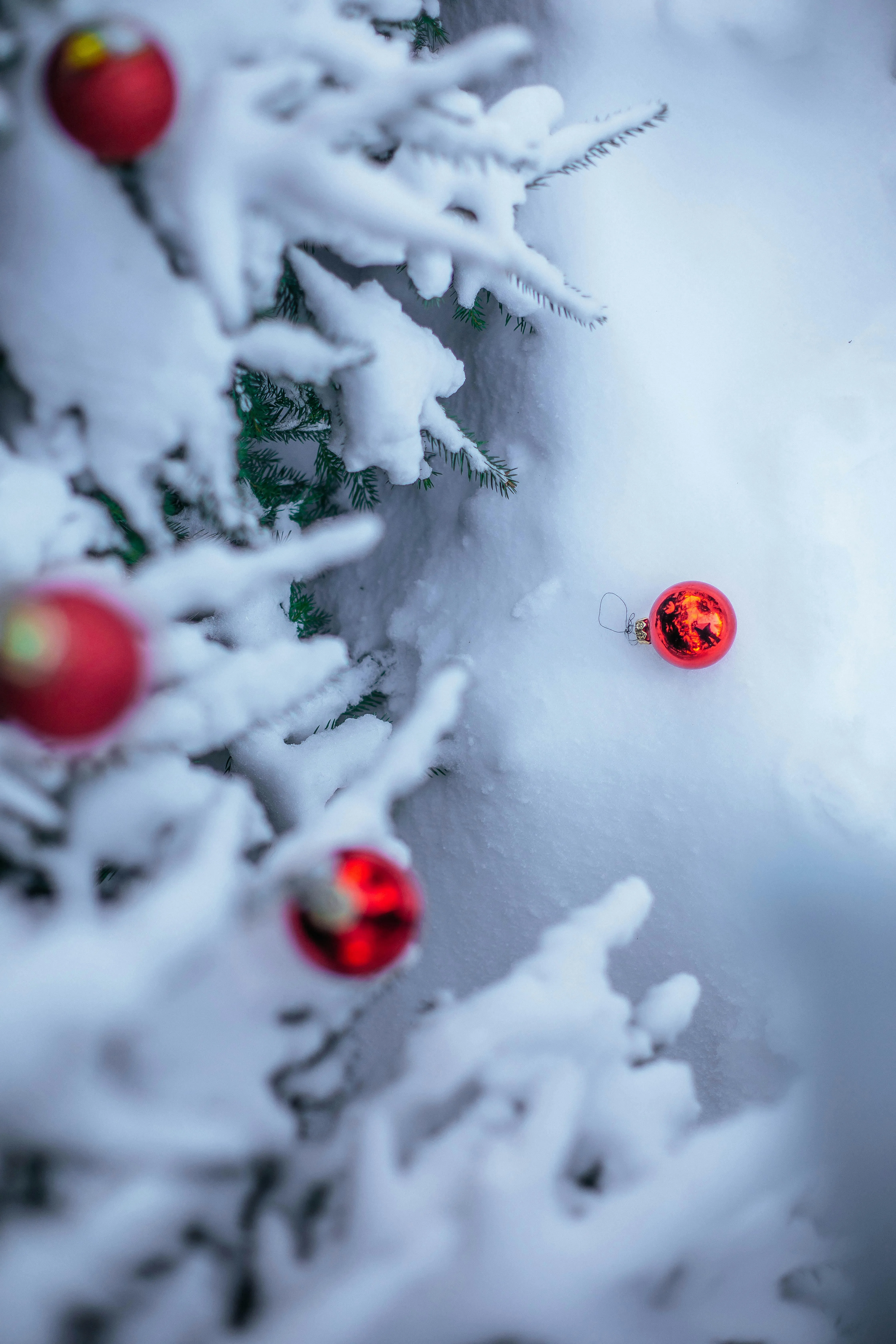 Christmas Snow Photo, Download The BEST Free Christmas Snow & HD Image