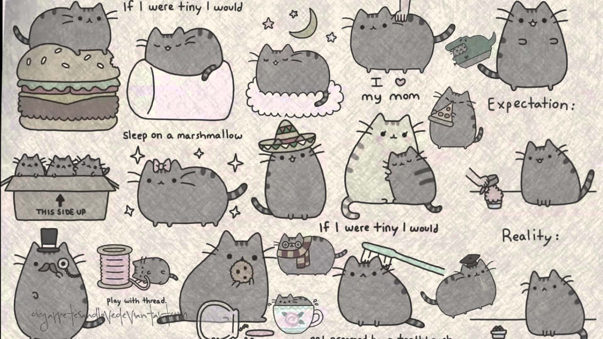 Pusheen Pc Wallpaper