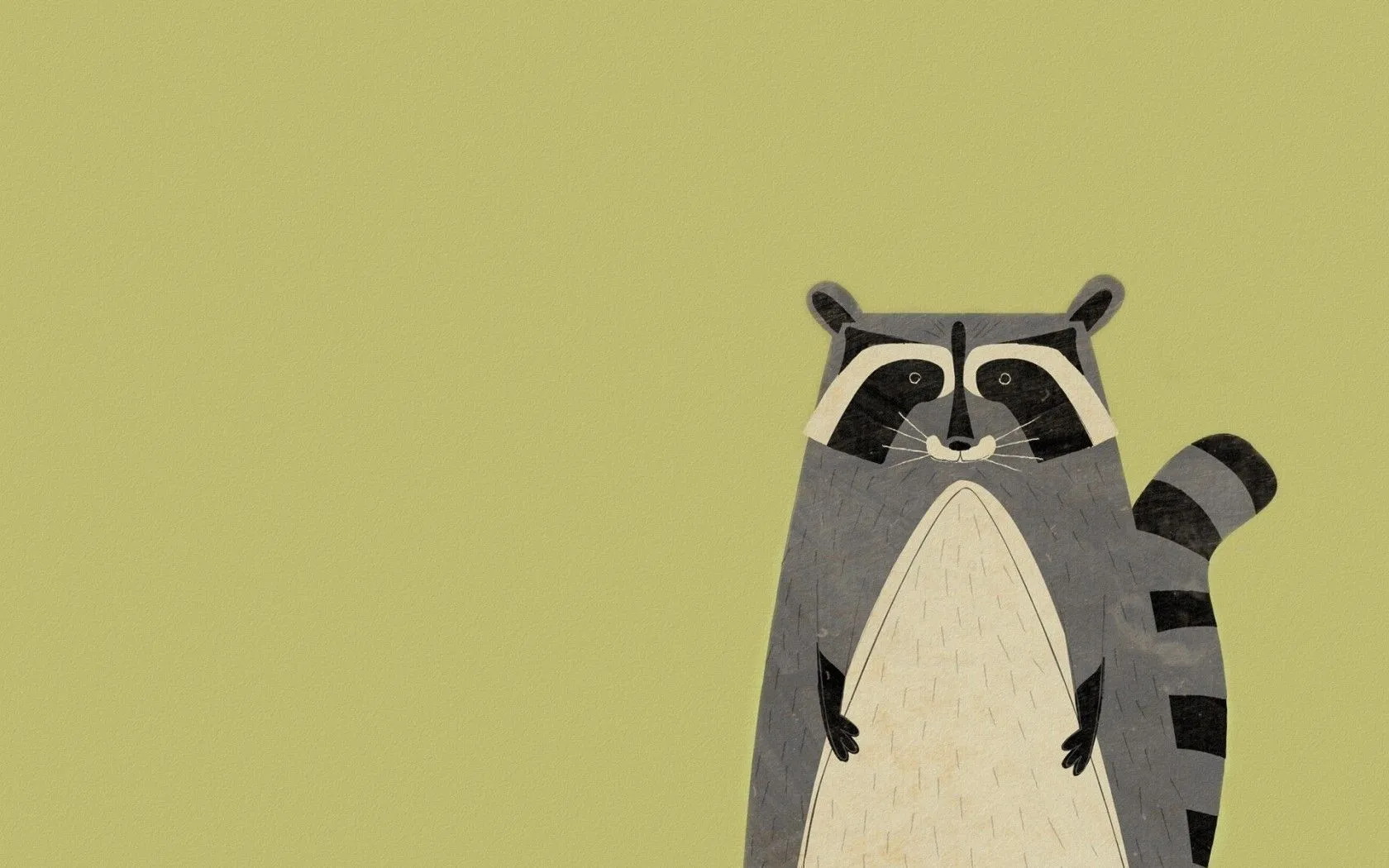 animal, raccoon, minimalism Wallpaper, HD Vector 4K Wallpaper, Image and Background