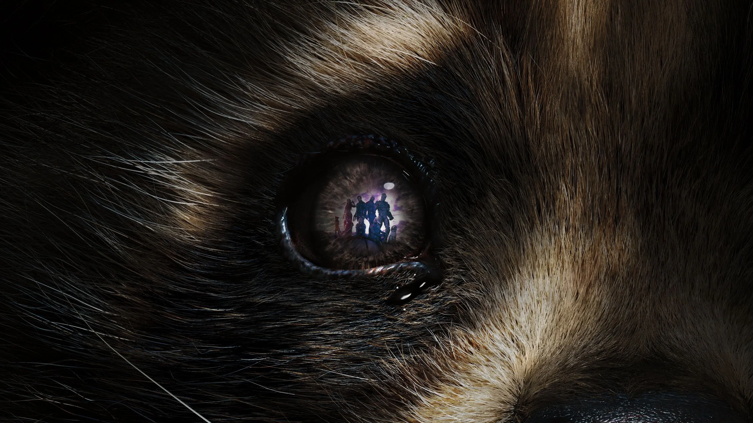 Rocket Raccoon Wallpaper 4K, Guardians of the Galaxy Vol. 3