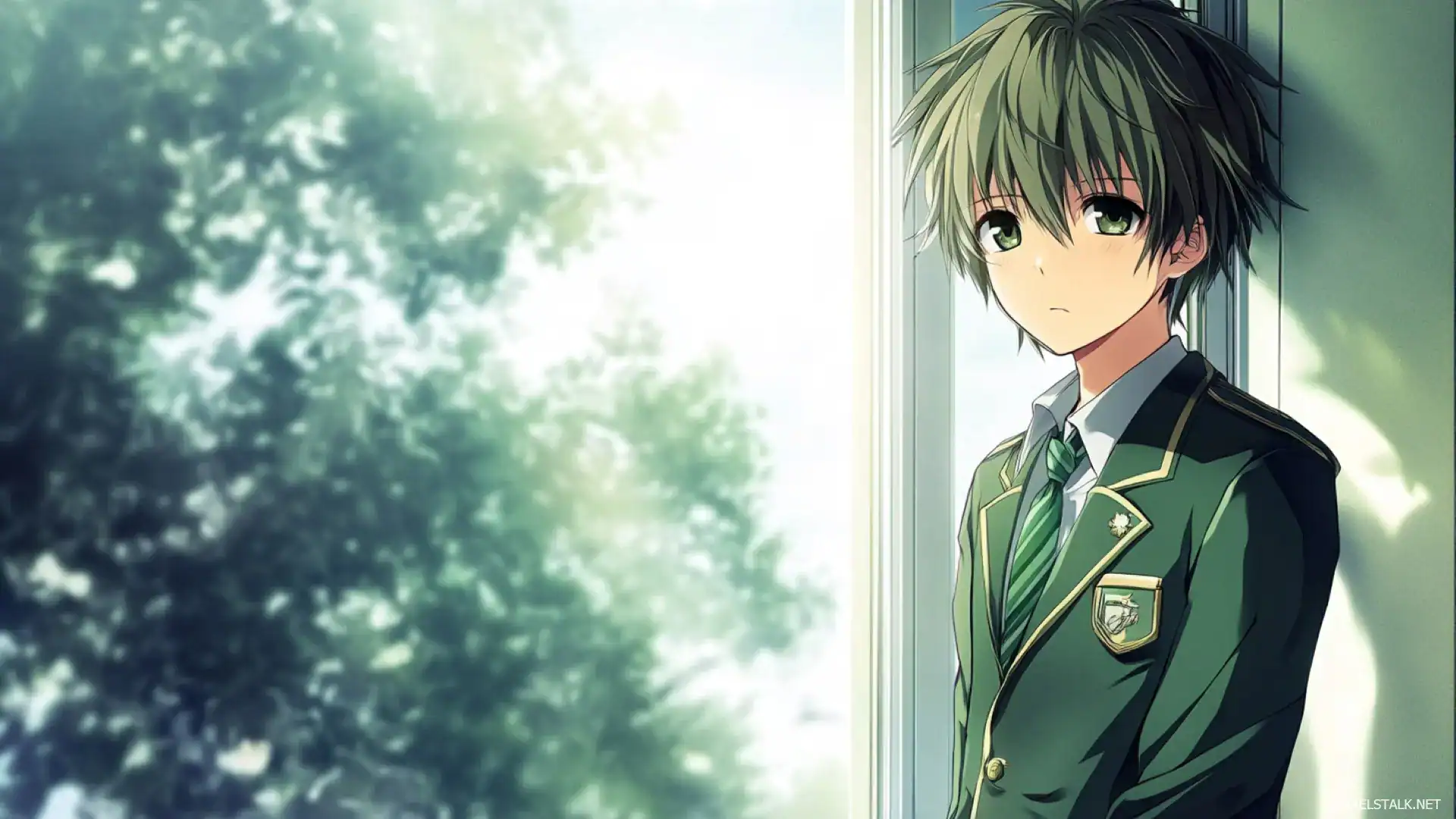 Anime Boy Laptop Wallpaper HD