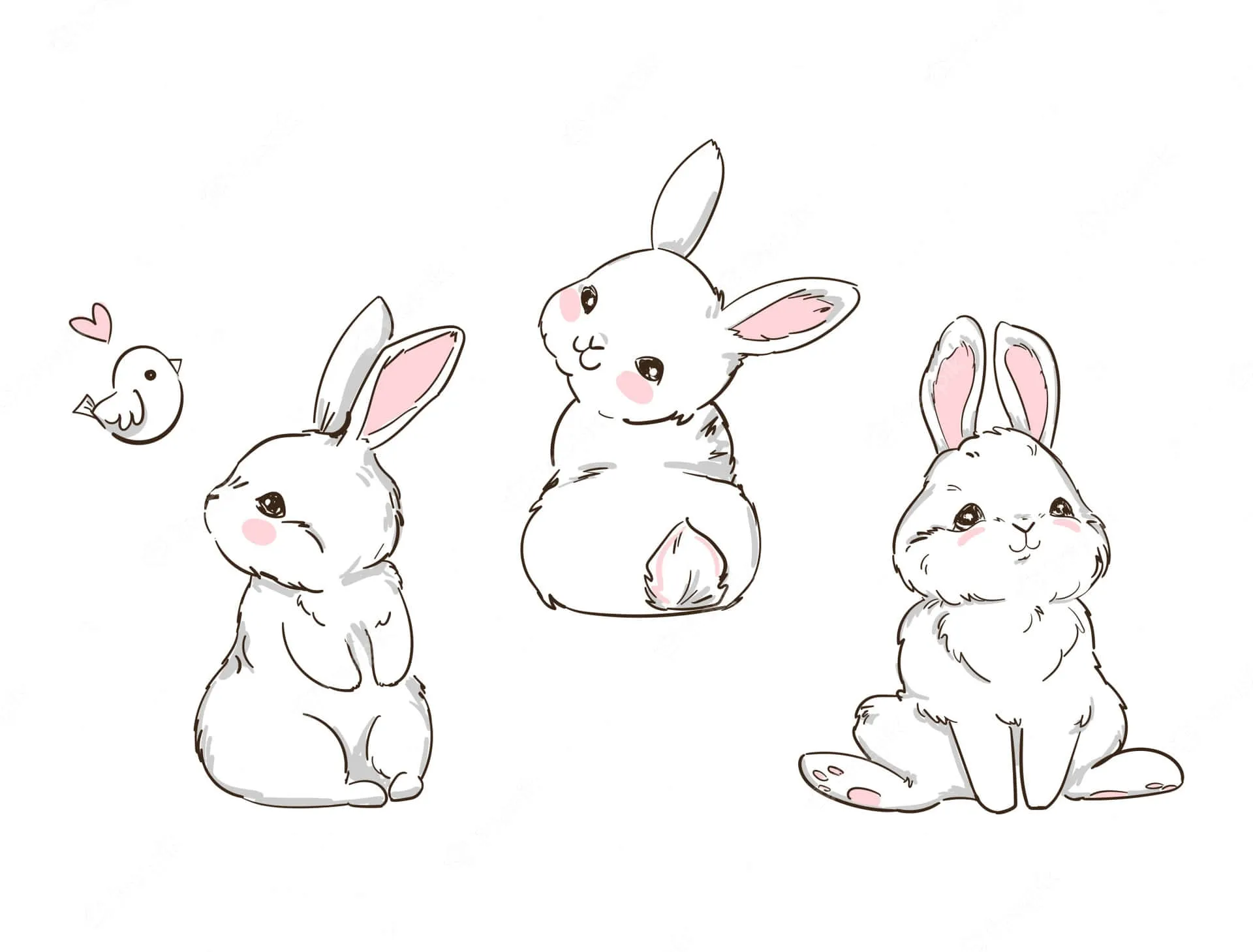Cute White Background