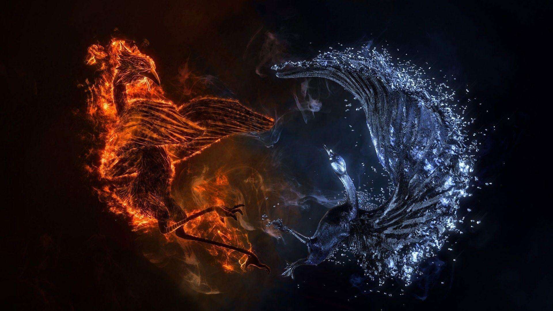 Yin Yang HD Wallpaper