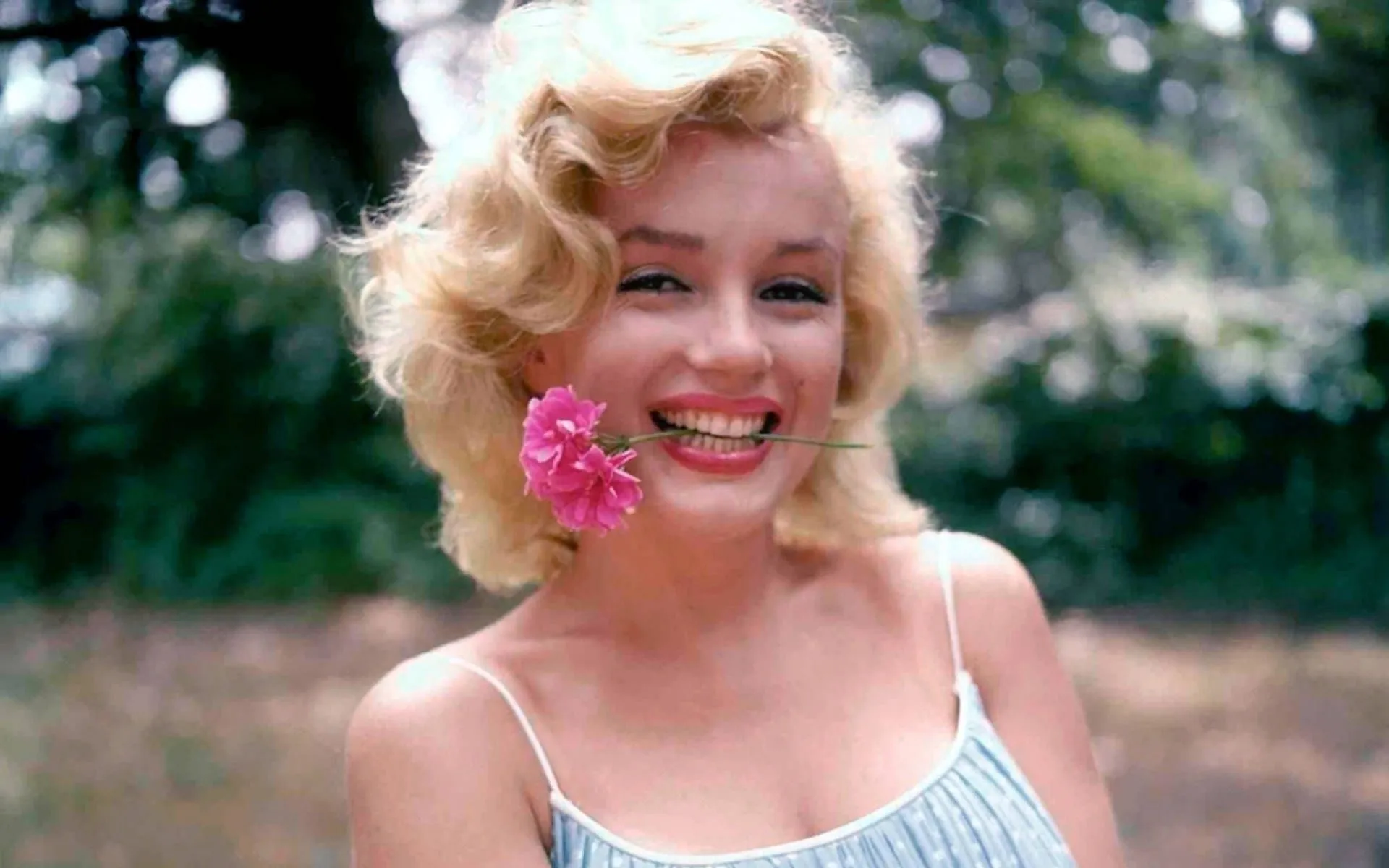 Download Feminine Allure Unleashed Monroe Wallpaper