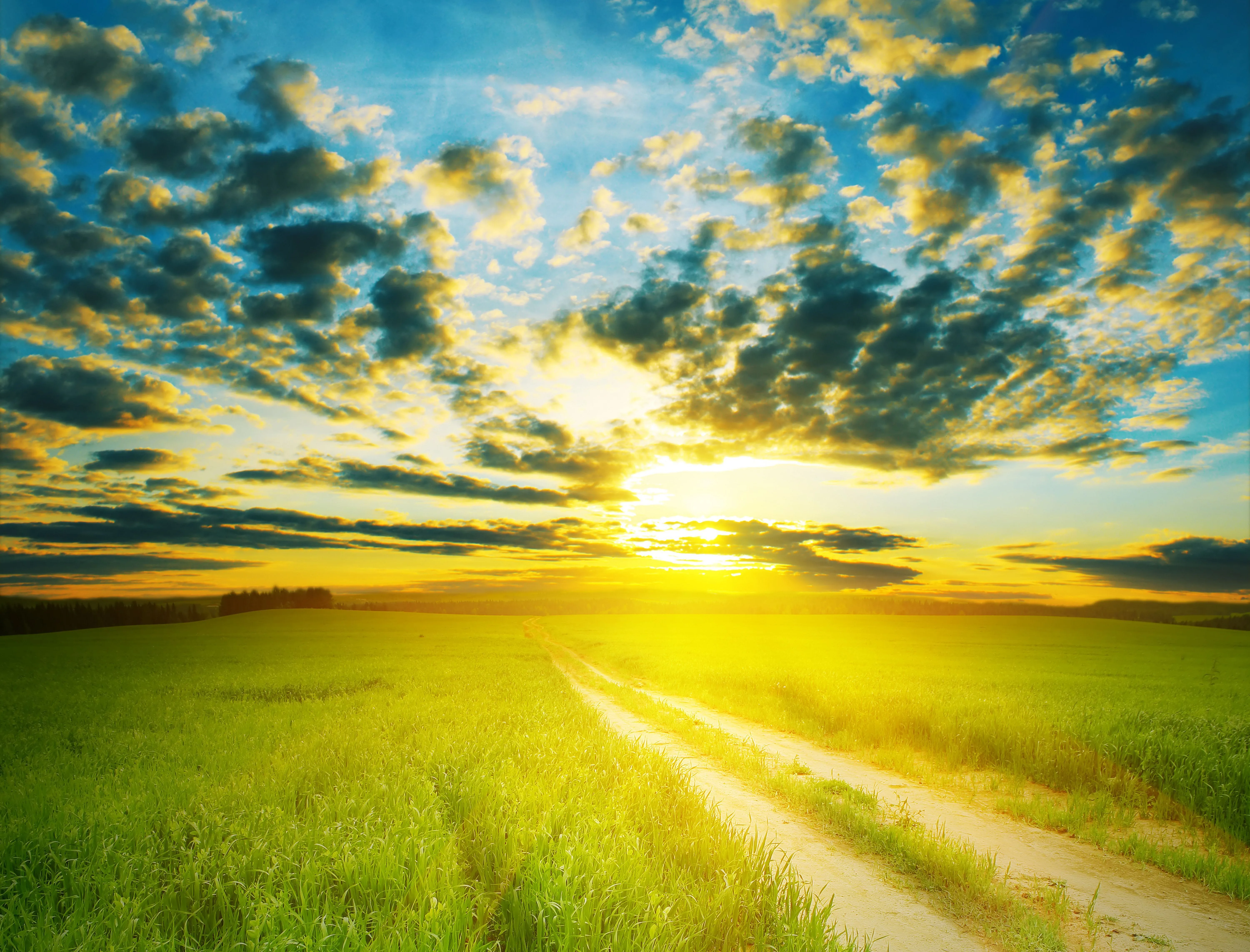 Wallpaper road, field, the sky, the sun, clouds, landscape, green, horizon for mobile and desktop, section пейзажи, resolution 6000x4570