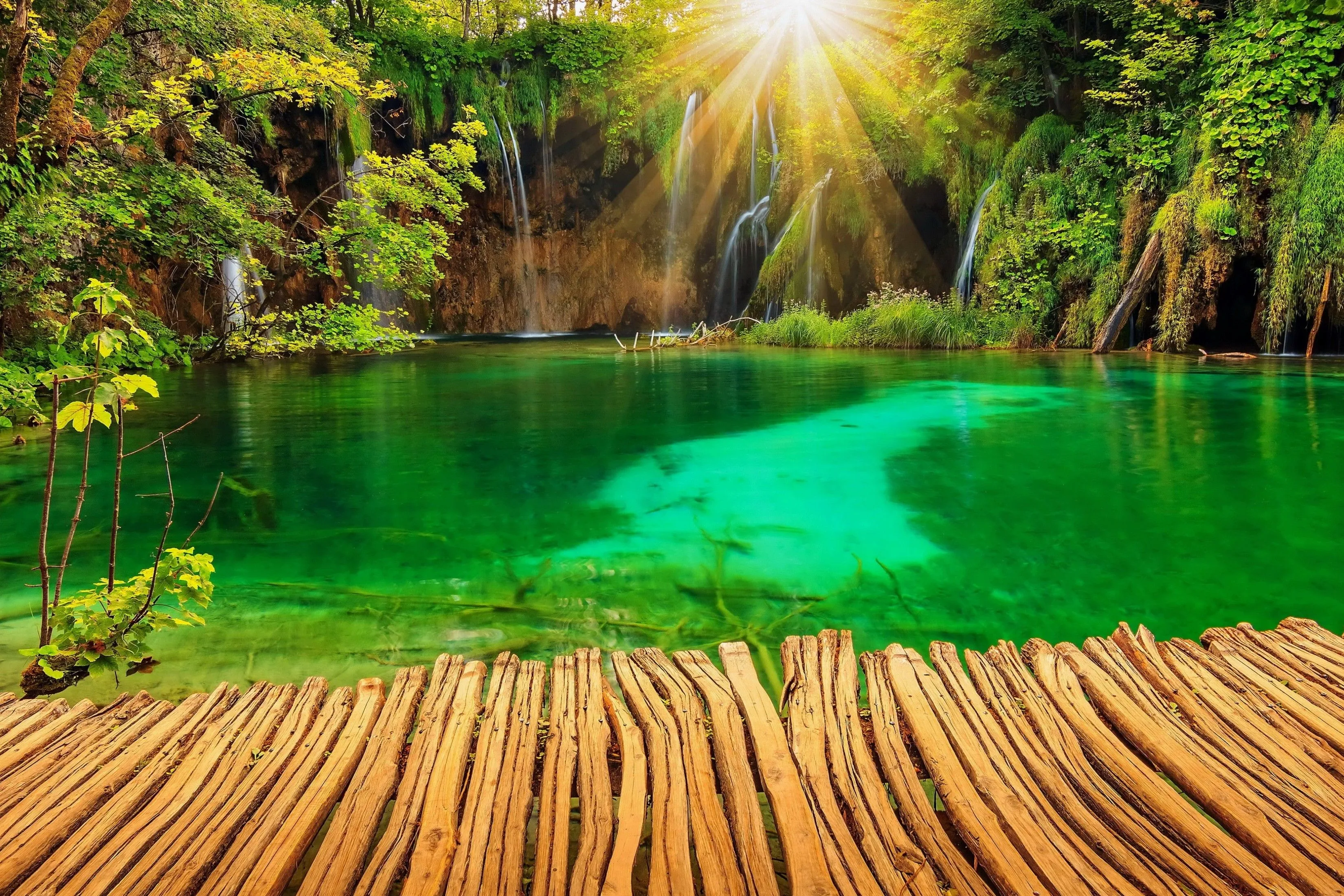 Free Sunshine 4K Wallpaper & Desktop HD Background for PC