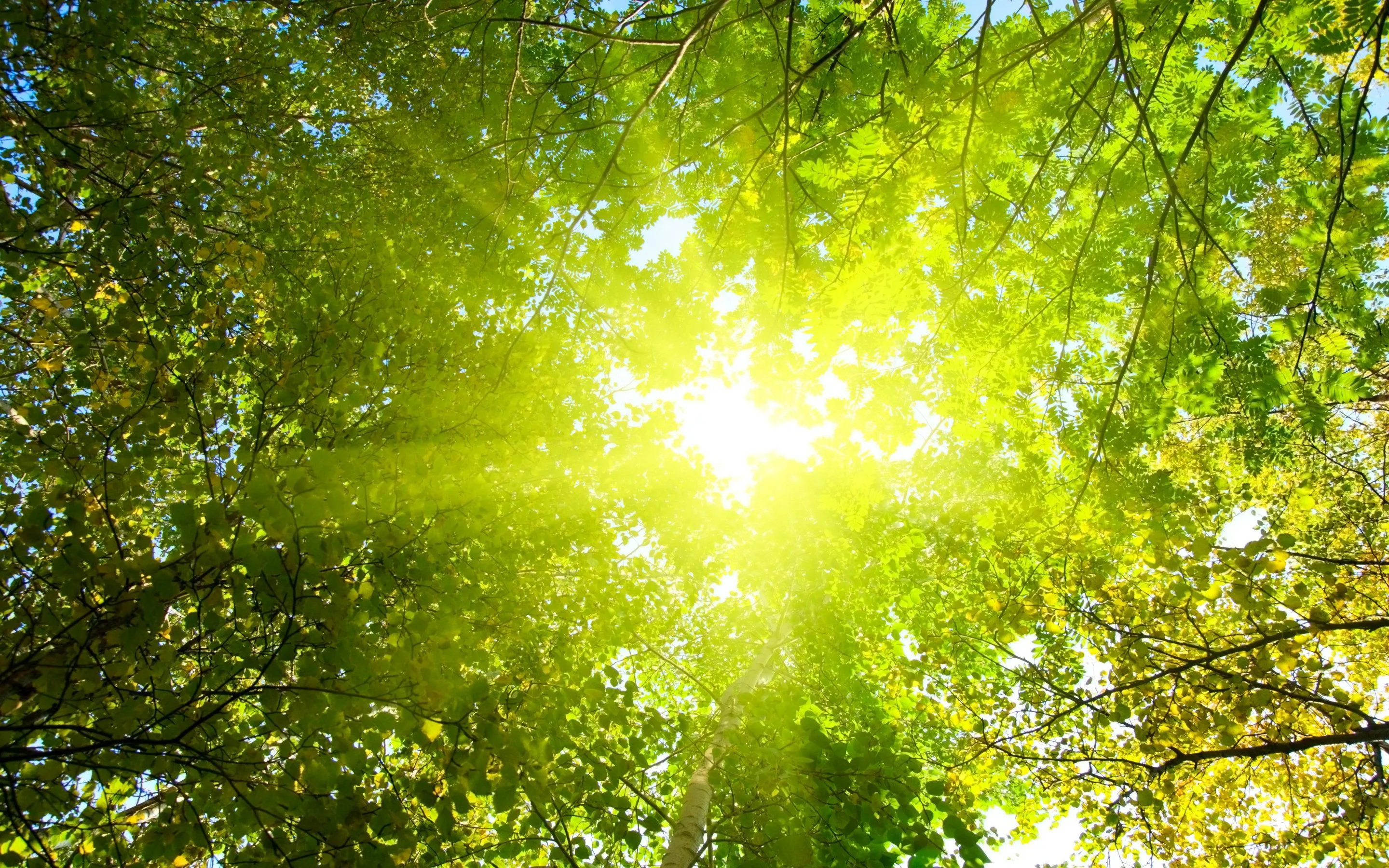 Sunshine Wallpaper For Android G0x