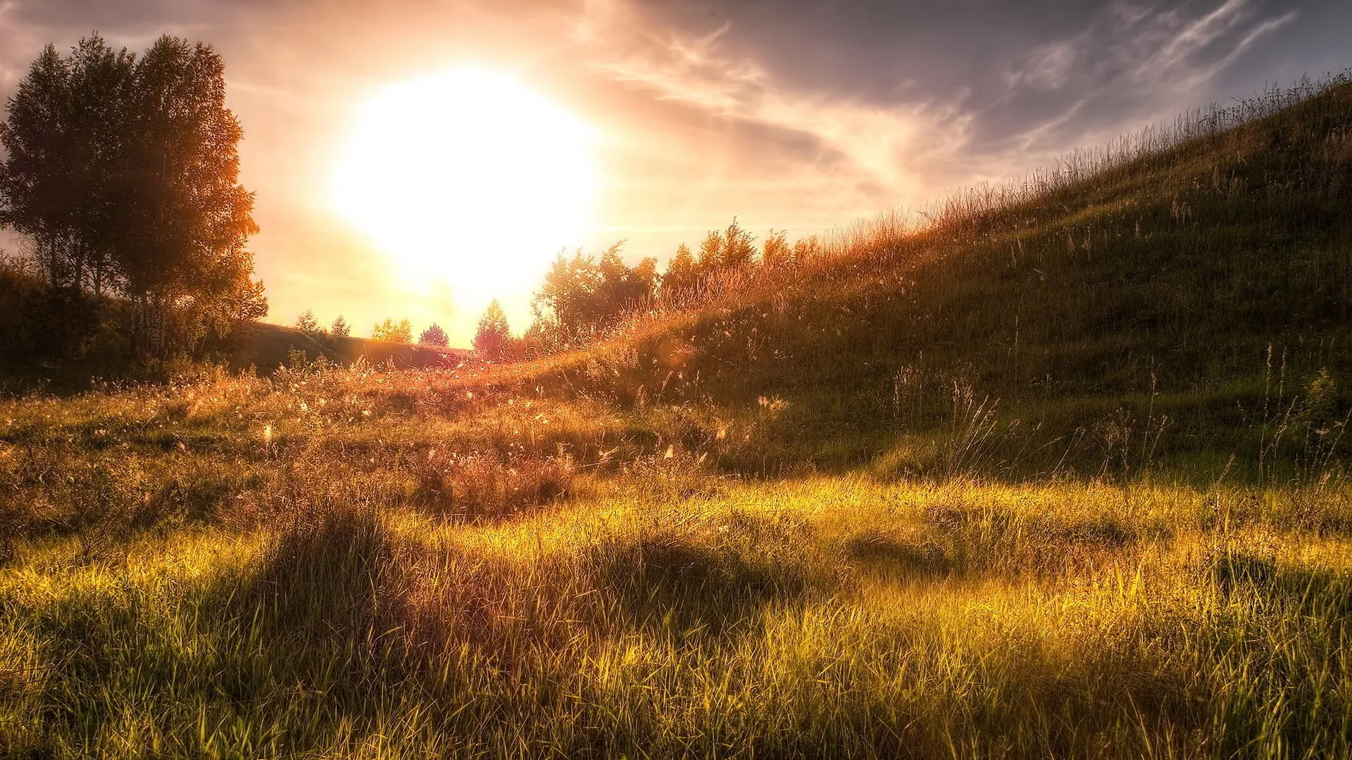 Free Sunshine Wallpaper 26250 26940 Hd Wallpaper