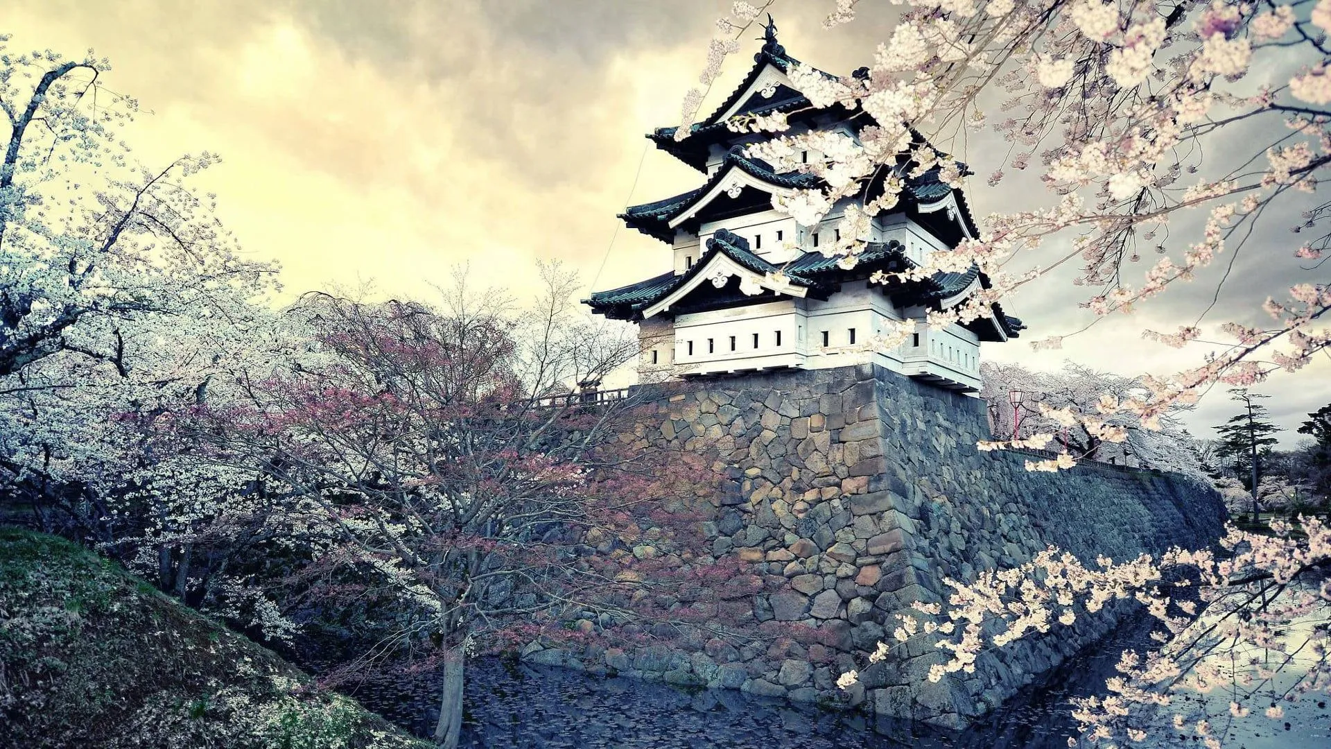 Black and white wooden pagoda, Japan, castle, Asian architecture, water HD wallpaper
