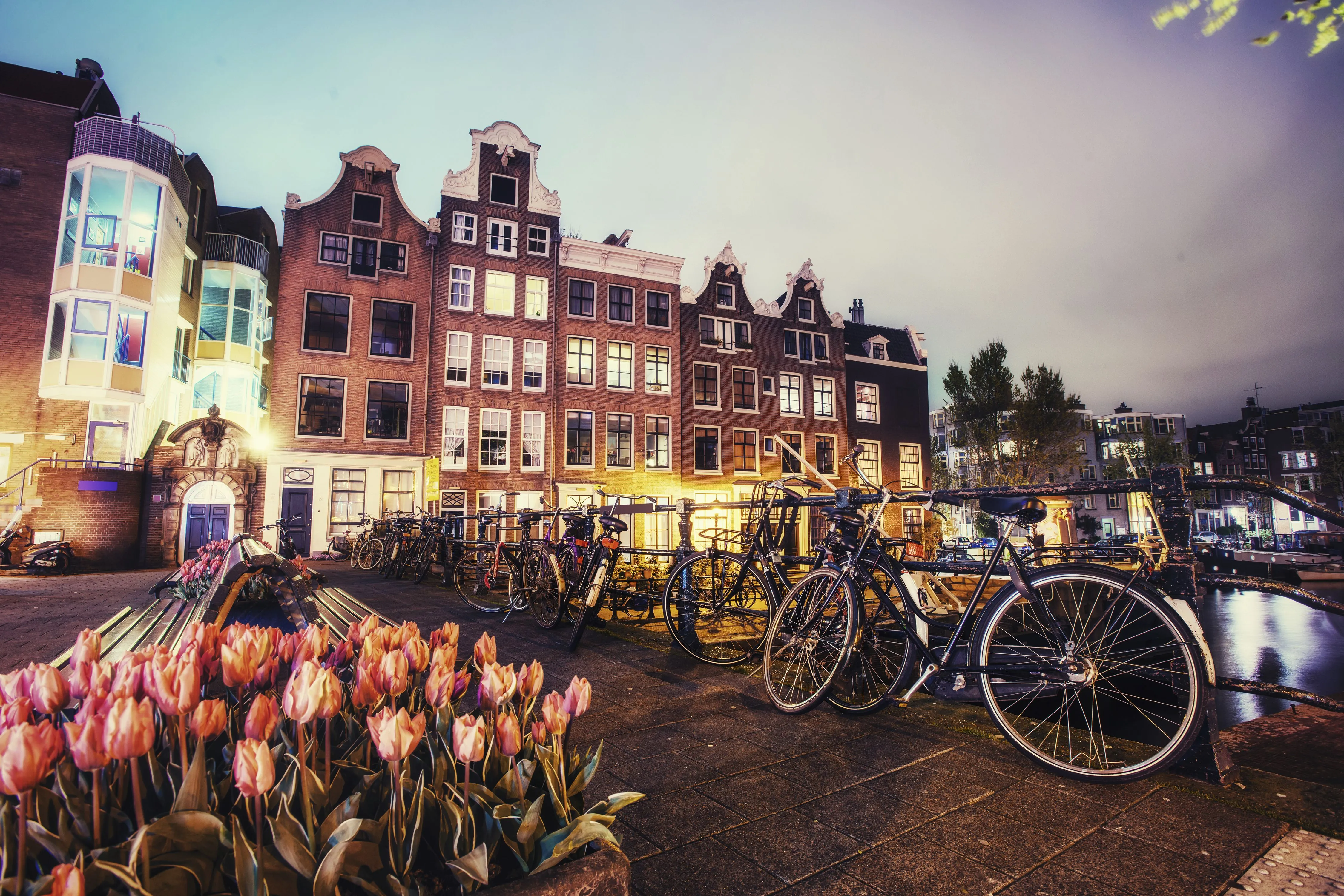Loving Life in Amsterdam