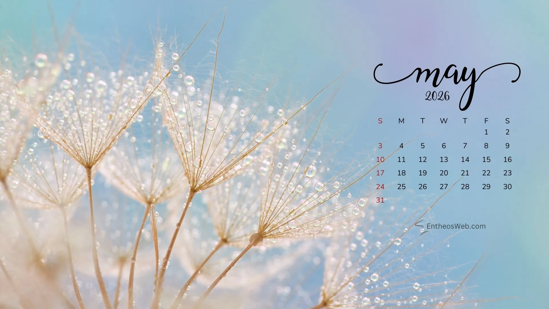 May Desktop Calendar Wallpaper for 2026