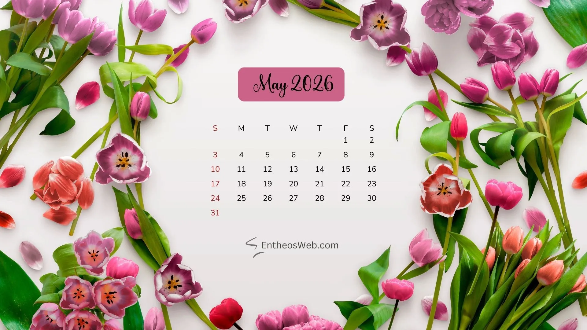 May Desktop Wallpaper Calendars for 2026