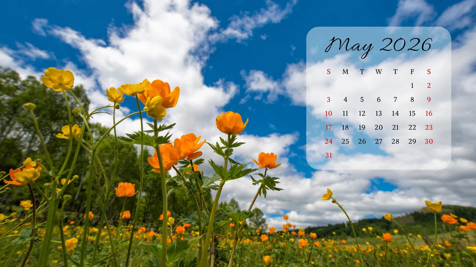 may