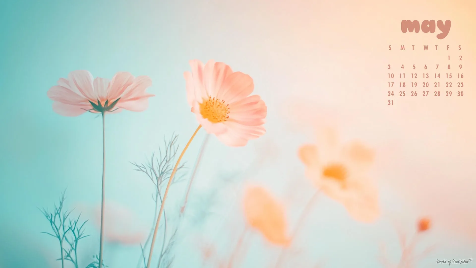 Free May 2026 Calendar Wallpaper