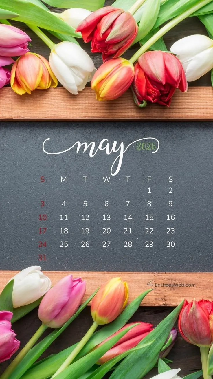 May 2026 Phone Wallpaper Calendar