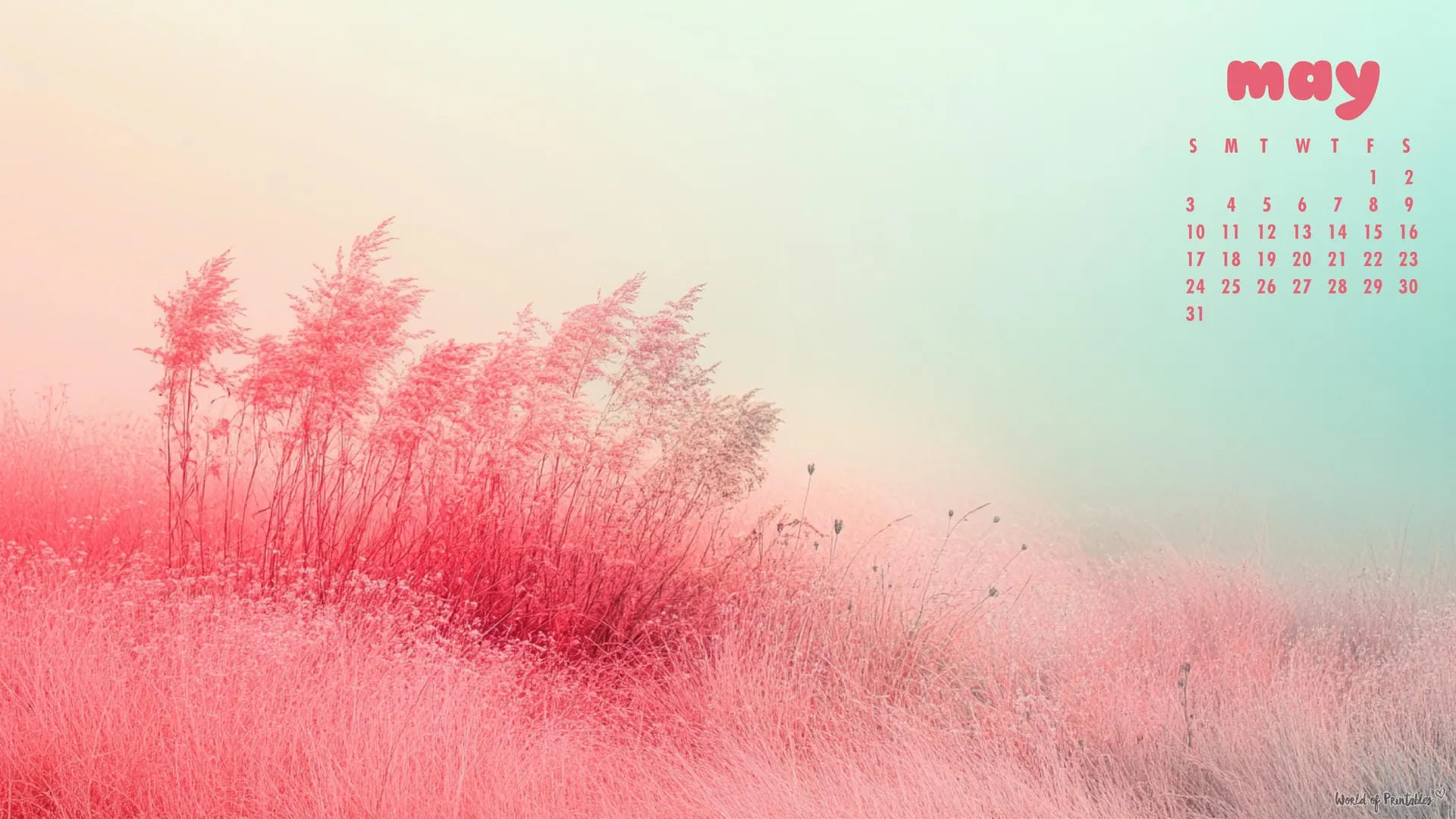 Free May 2026 Calendar Wallpaper