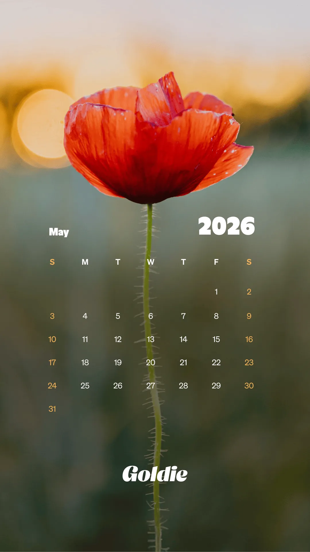 Free May 2026 Calendar Wallpaper