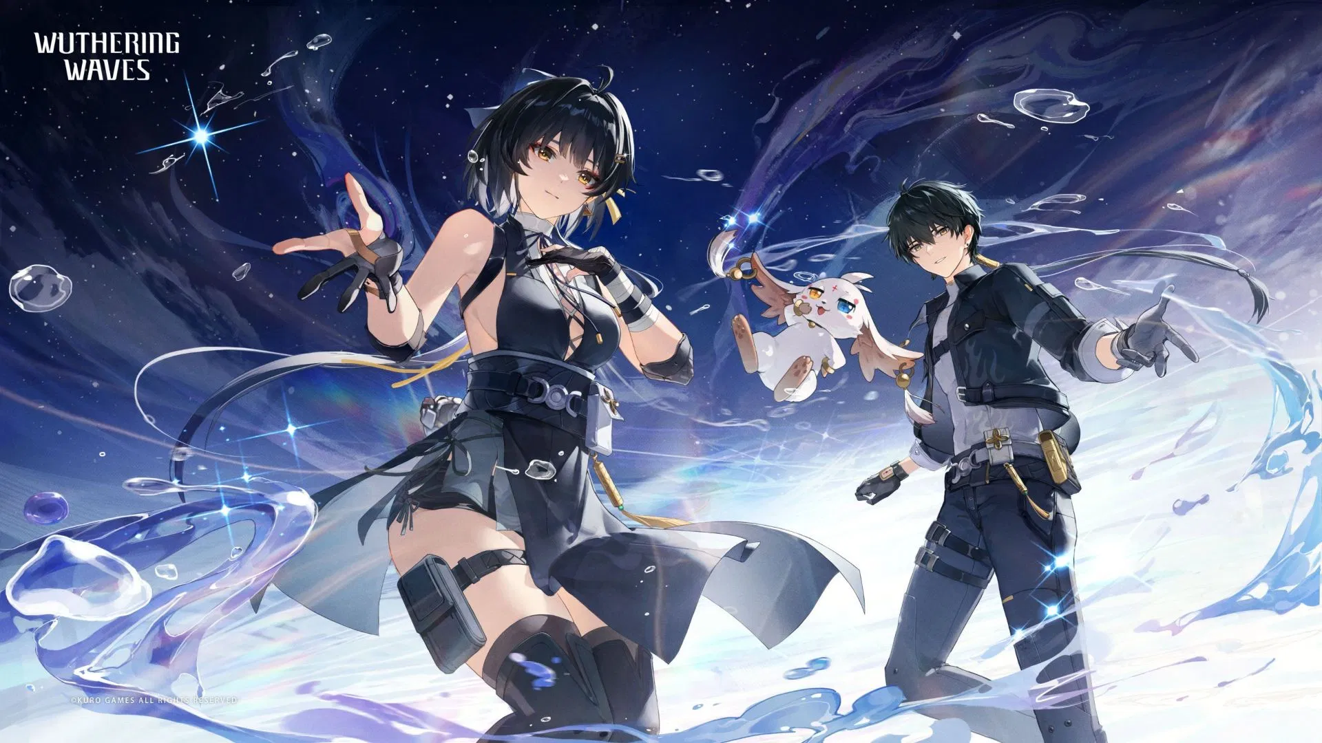 Best teammates for Zani in Wuthering Waves