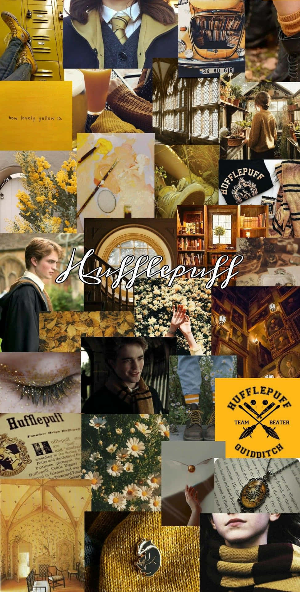 Download Hufflepuff Emblem Showcasing The Spirit Of Hogwarts' Friendliest House
