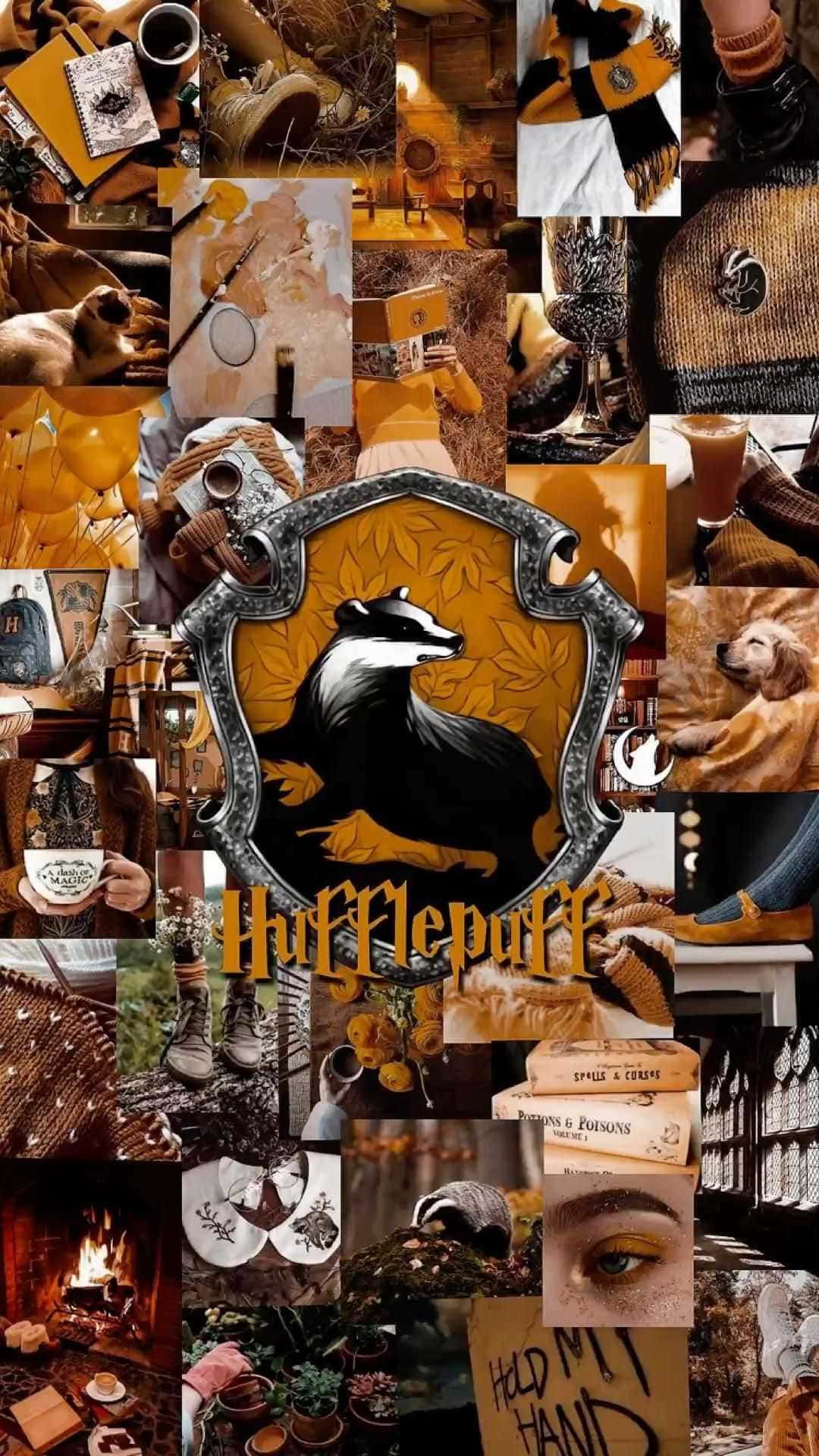 Download A Glowing Tribute To Hufflepuff House