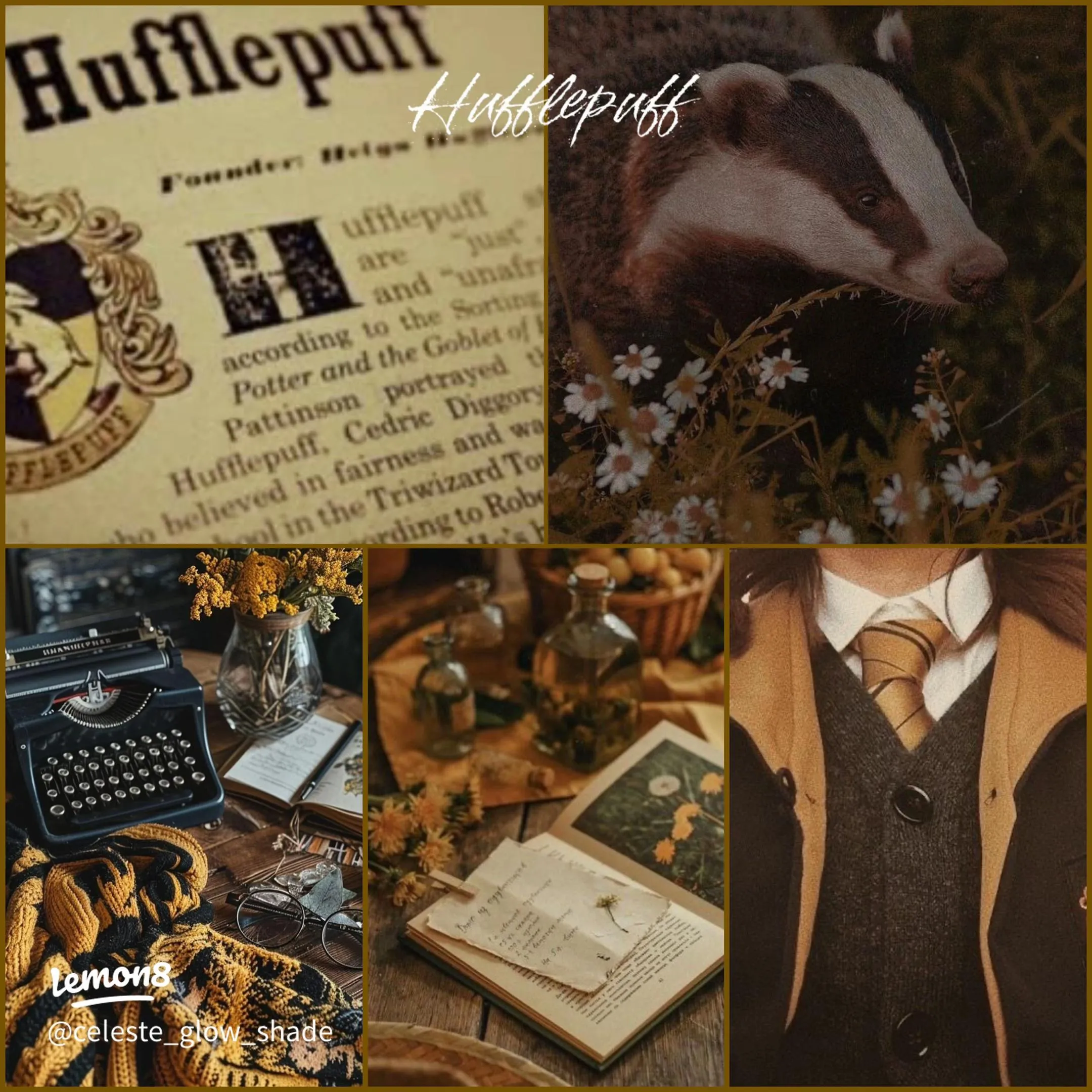 Adorable Harry Potter House Wallpaper: Find Your Aesthetic!