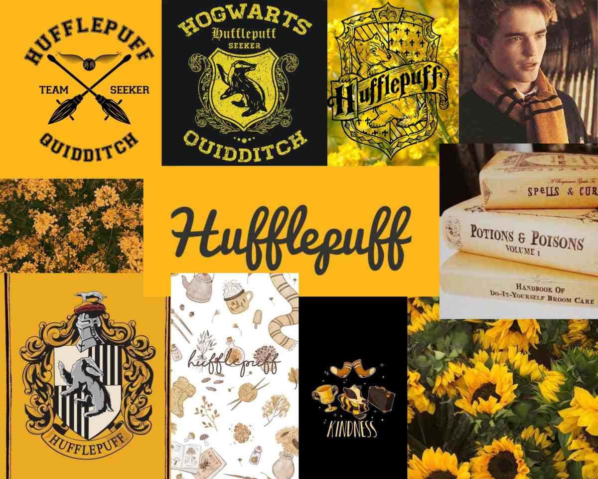 Download Represent your house with Hufflepuff pride!
