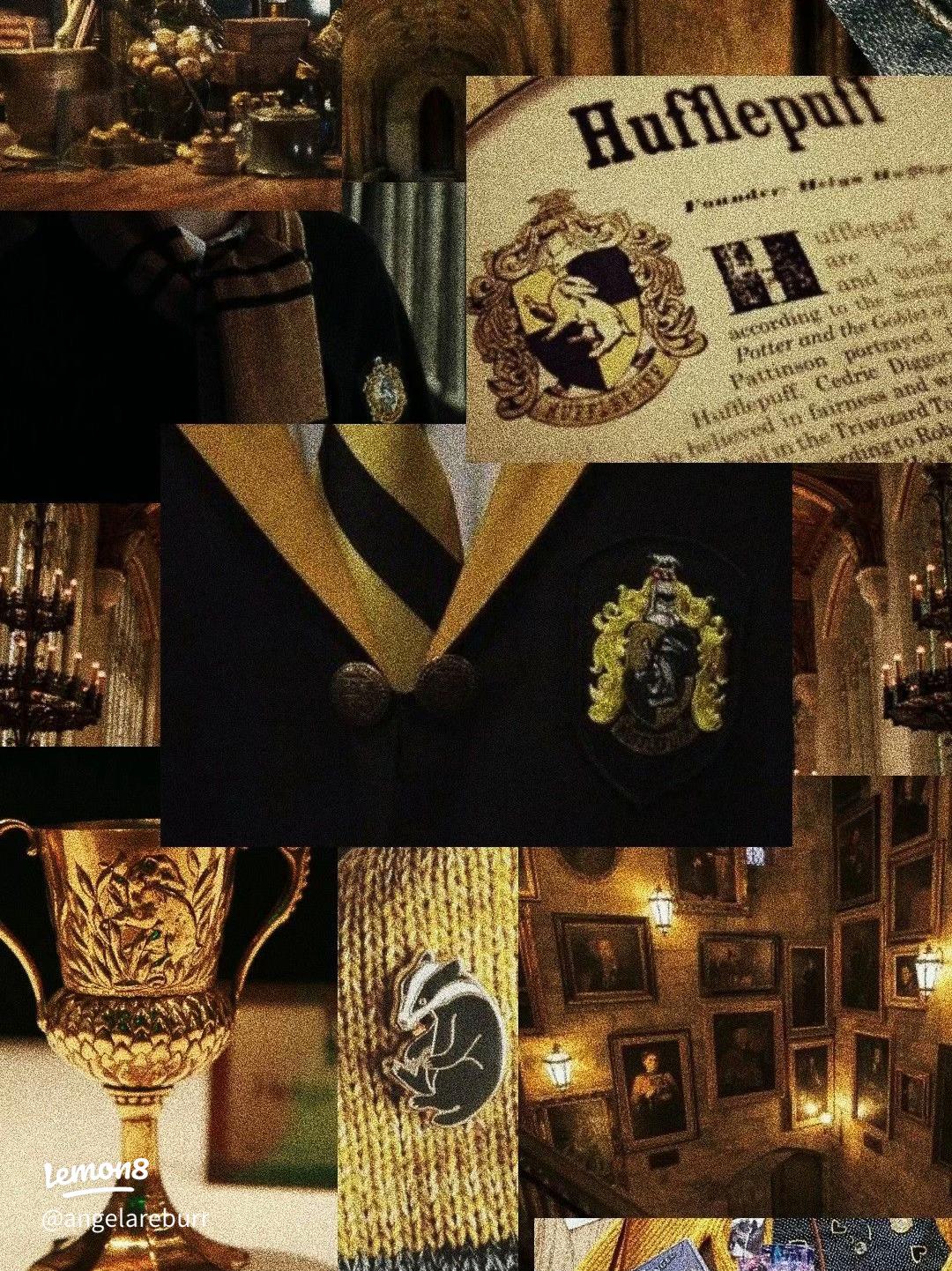 My Hufflepuff Journey: Unpacking Traits & The Coziest Common Room Vibes!