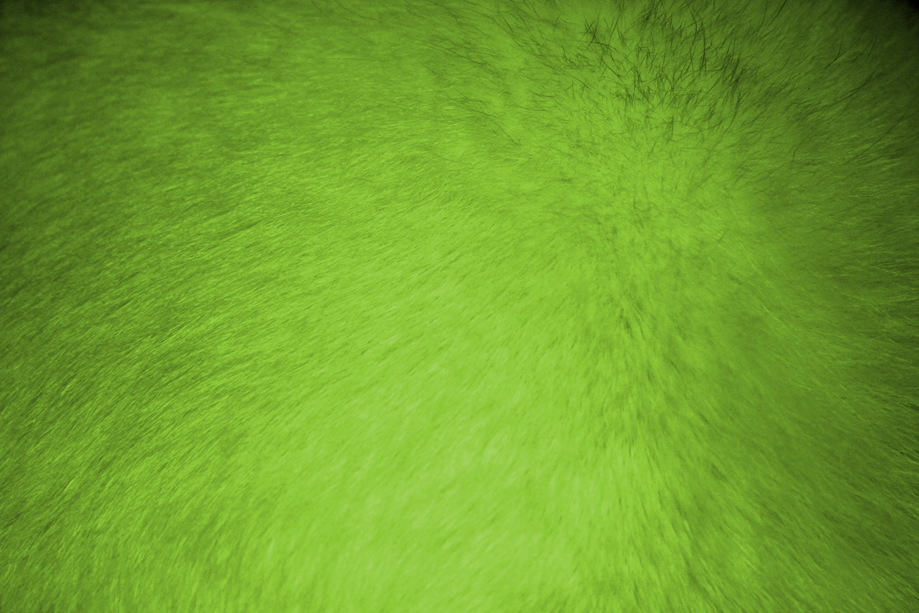 Lime Green Fur Texture