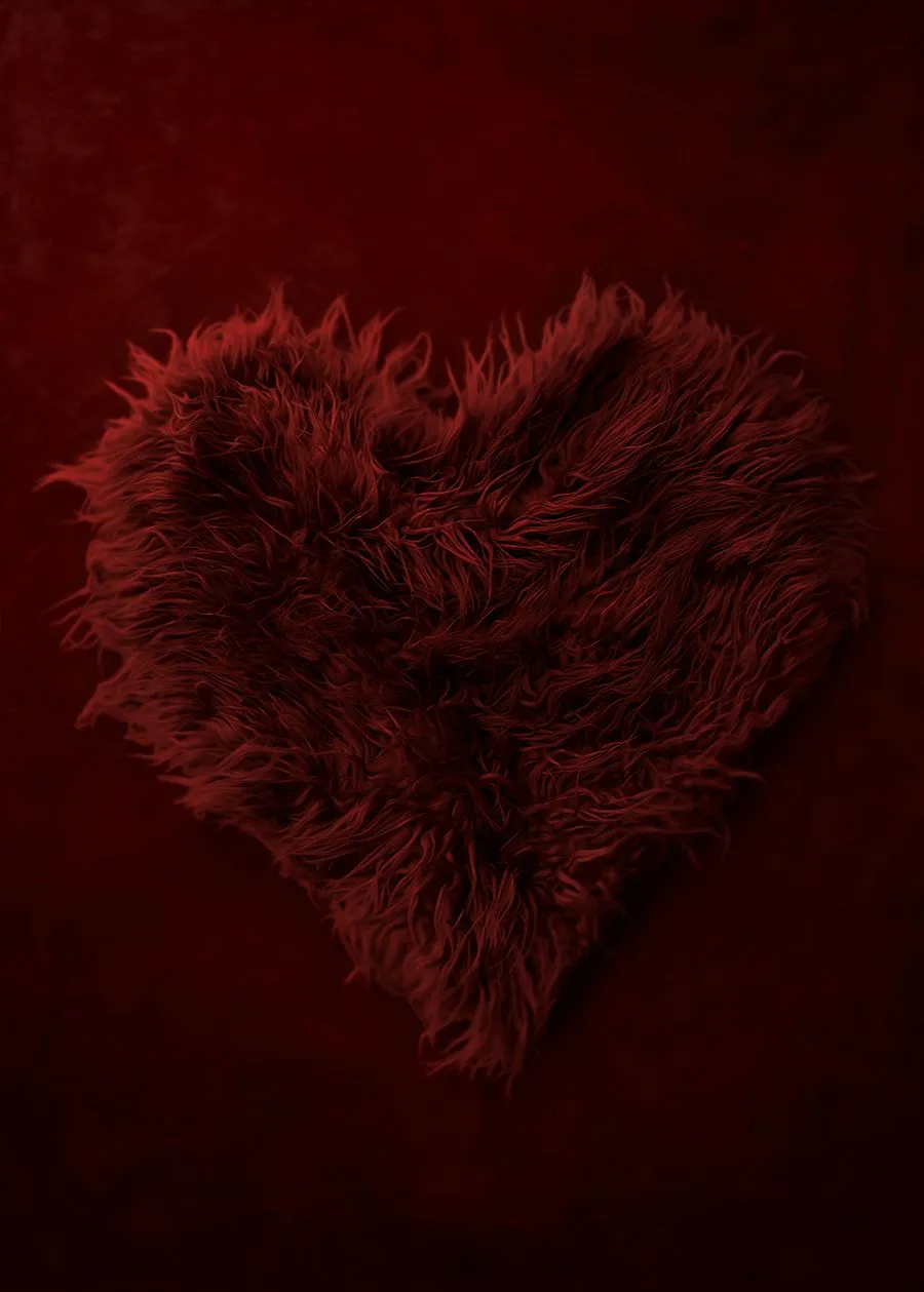 Newborn Digital Backdrop (Maroon Heart). Newborn Digital Backdrop