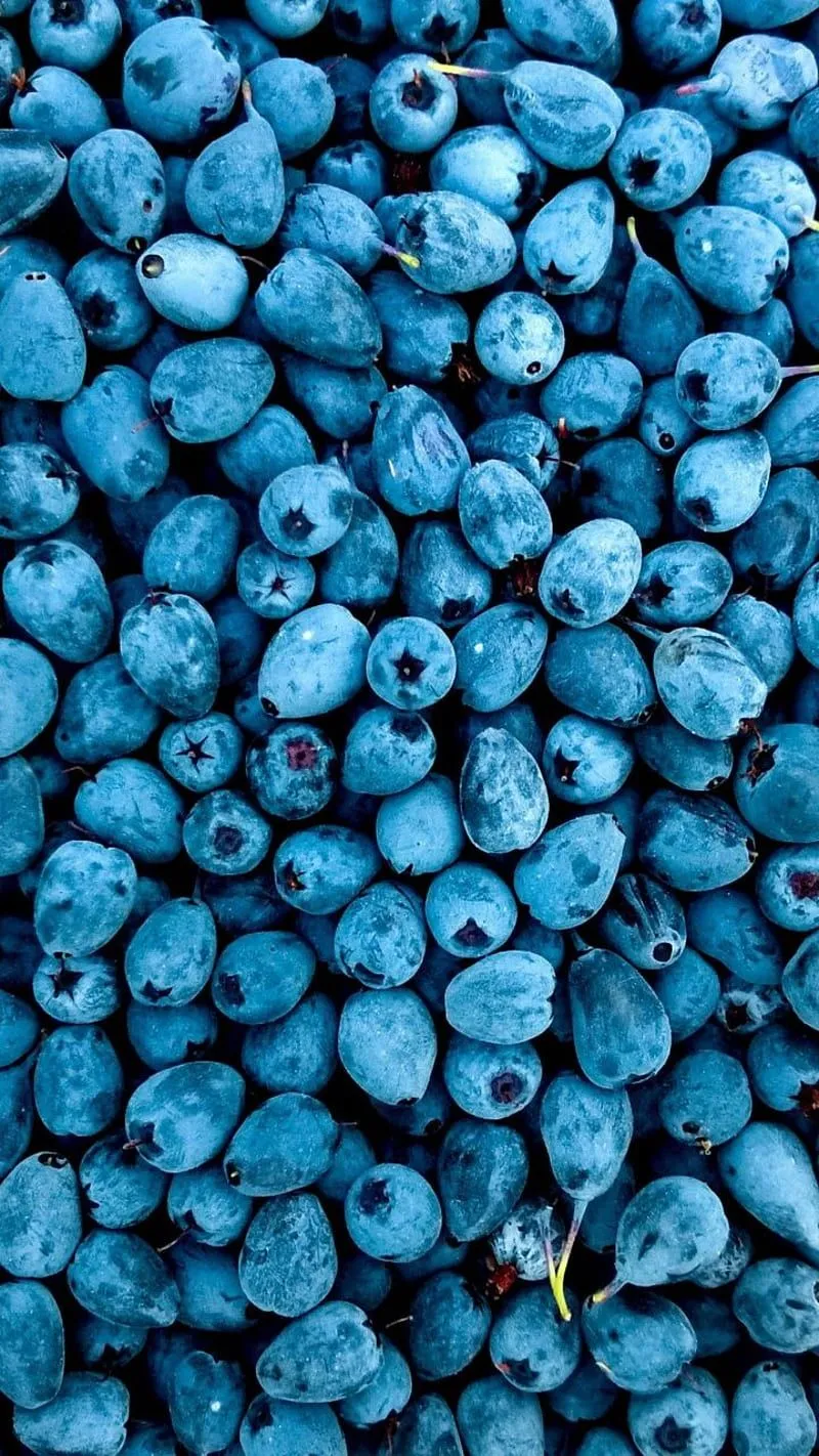 Abundance, fruit, blueberries,. Fruit graphy, Fruit, Blue aesthetic pastel, HD phone wallpaper