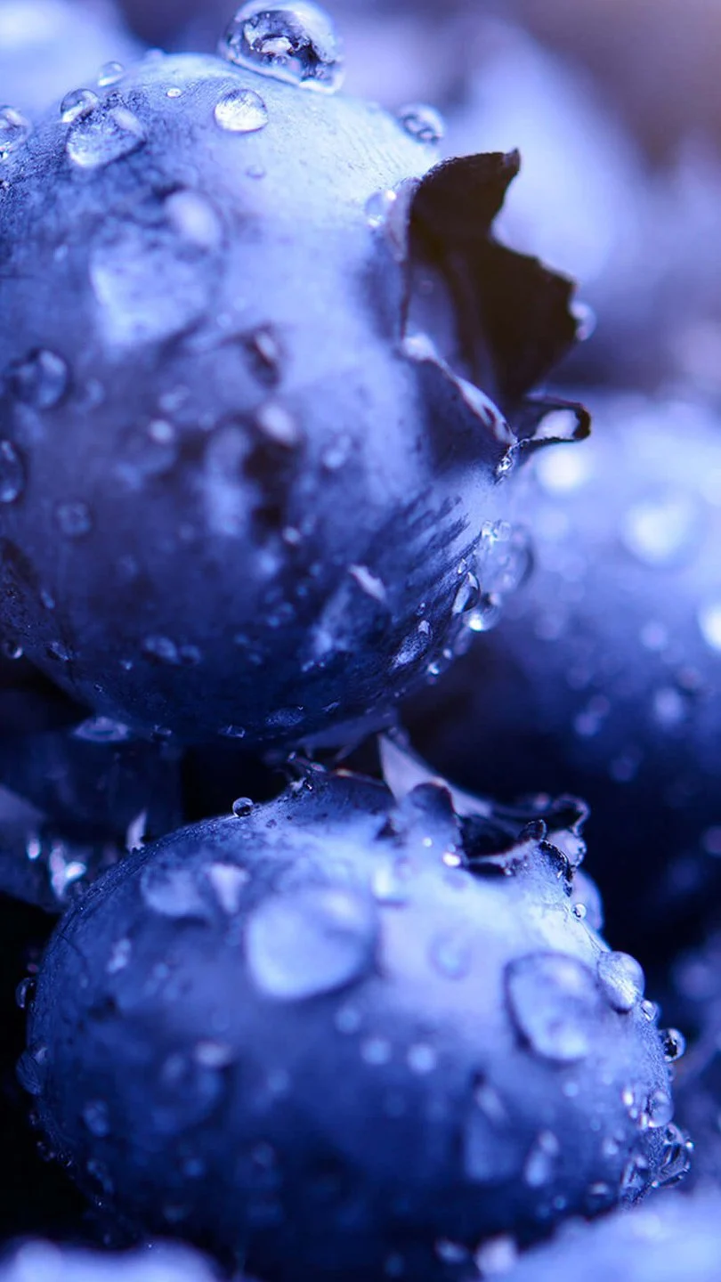 Blueberries with drops of water Aesthetic Wallpaper 2K for iPhone and Mobile Phone