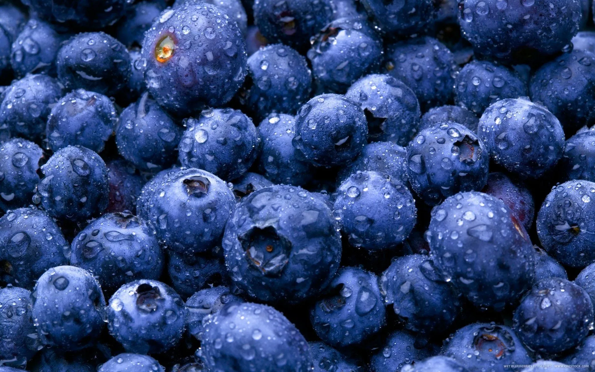 Refreshing Blueberries Wallpaper for Food Loversx1600