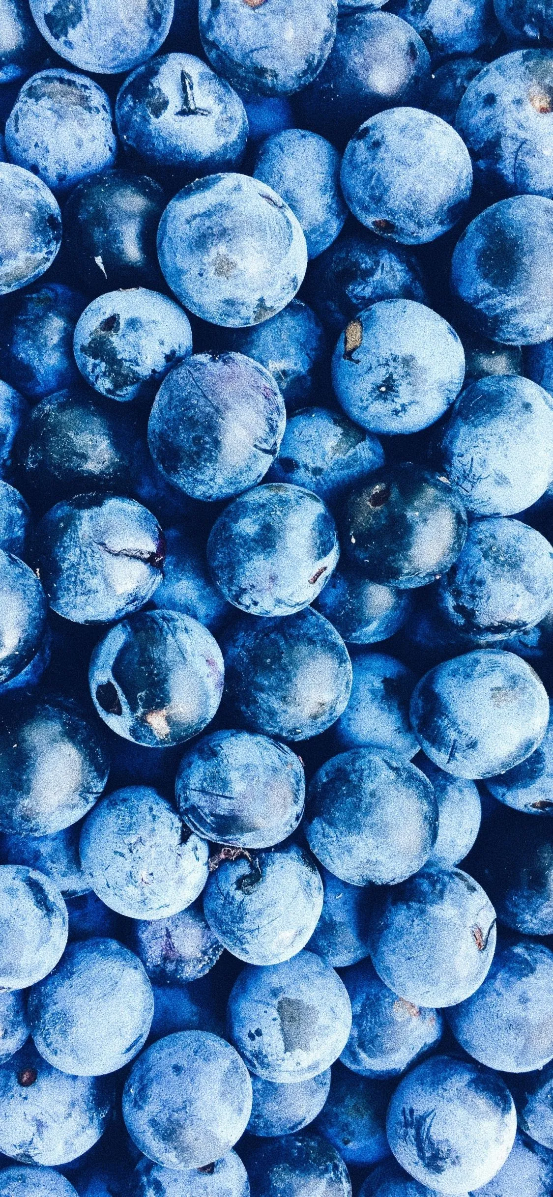 Blueberry Wallpaper for IPhone XS [Super Retina HD]
