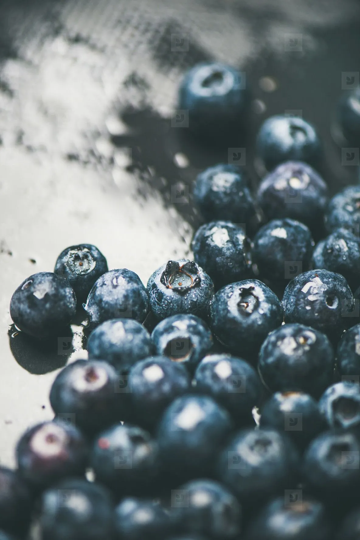 Fresh Forest Blueberry Texture, Wallpaper And Background, Vertical Composition Photo