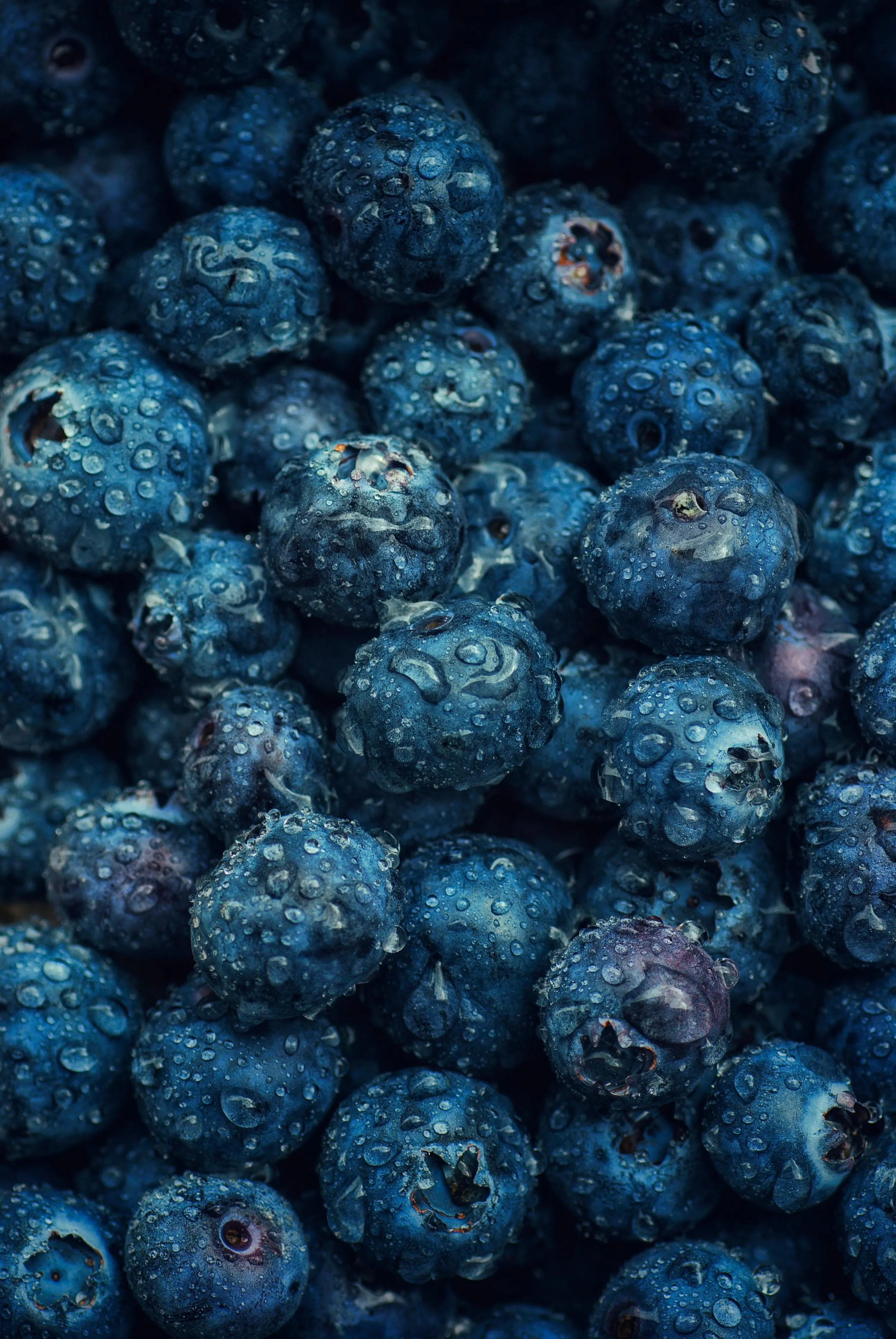 Blueberries With Water Droplets · Free