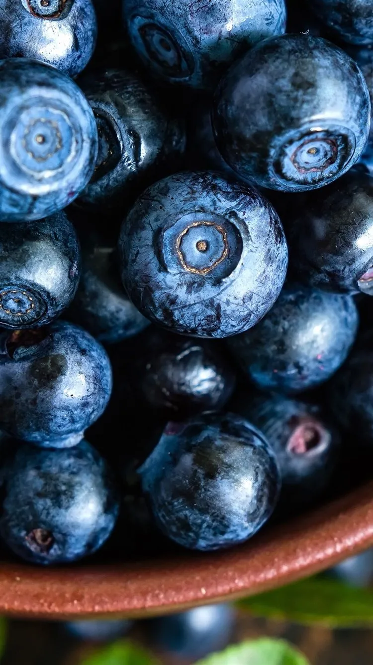 Blueberry, Bowl, Leaves 1080x1920 IPhone 8 7 6 6S Plus Wallpaper, Background, Picture, Image