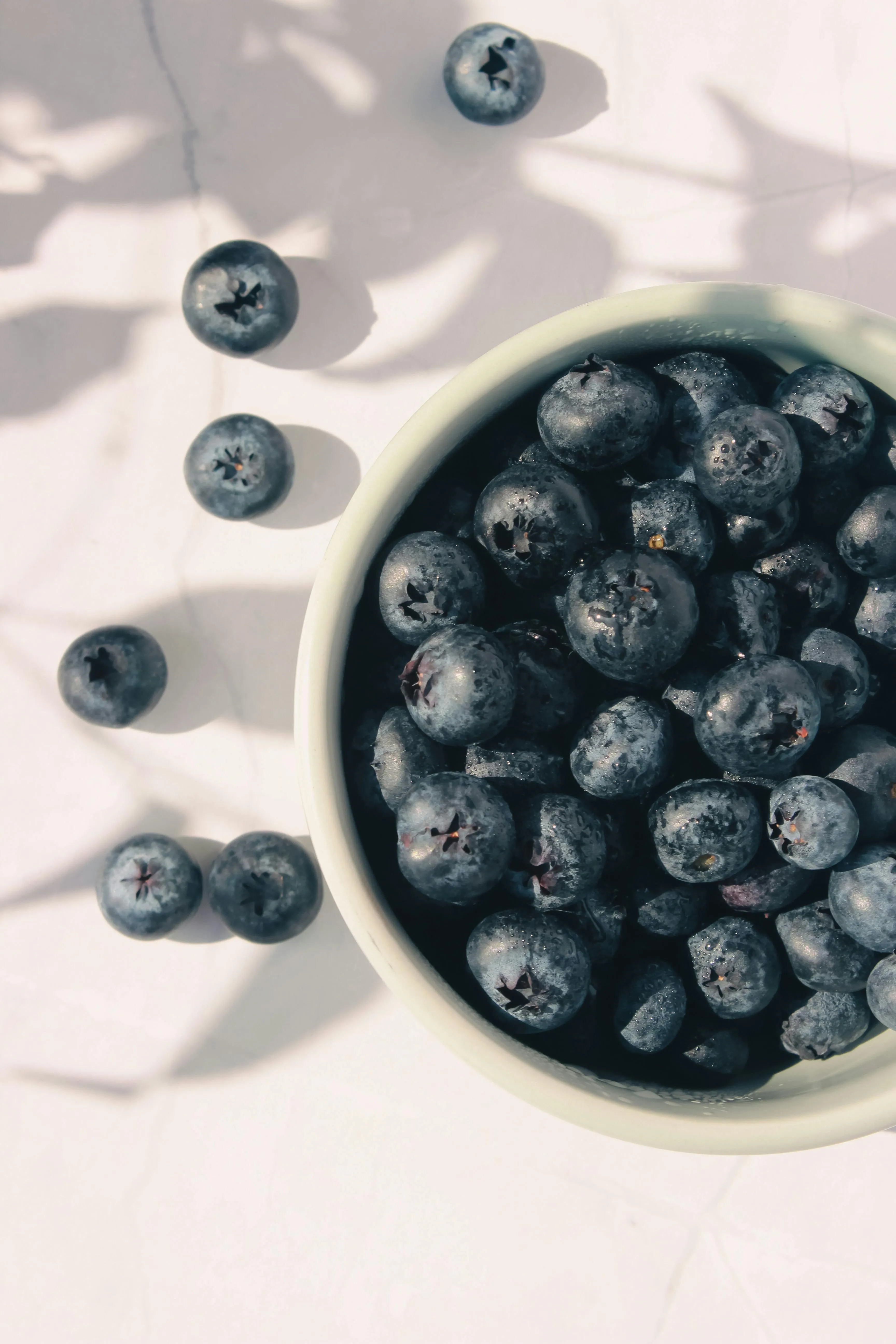 Moody Blueberry Bowl on Dark Surface · Free