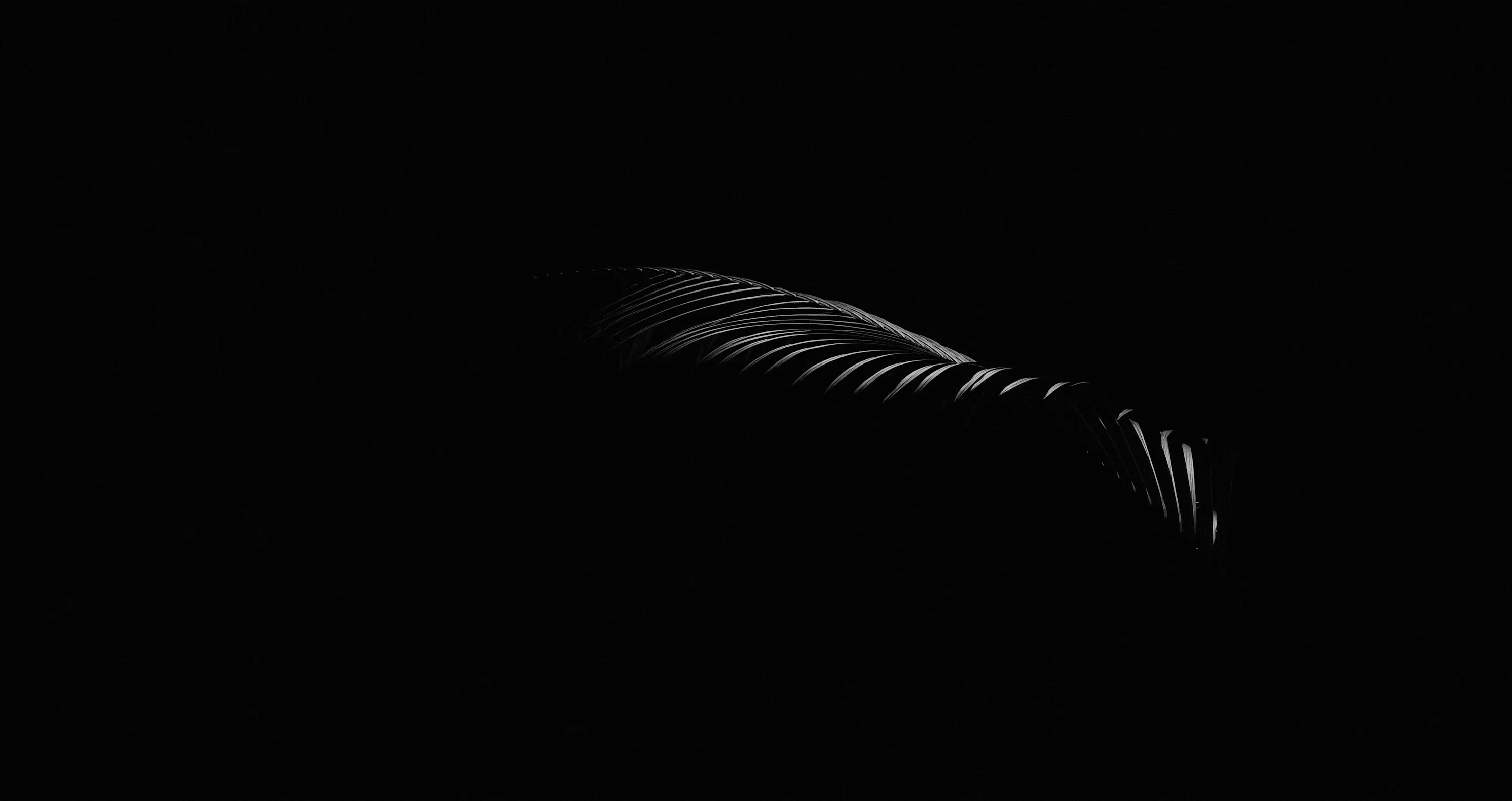 50,Minimalist Black Picture. Download Free Image