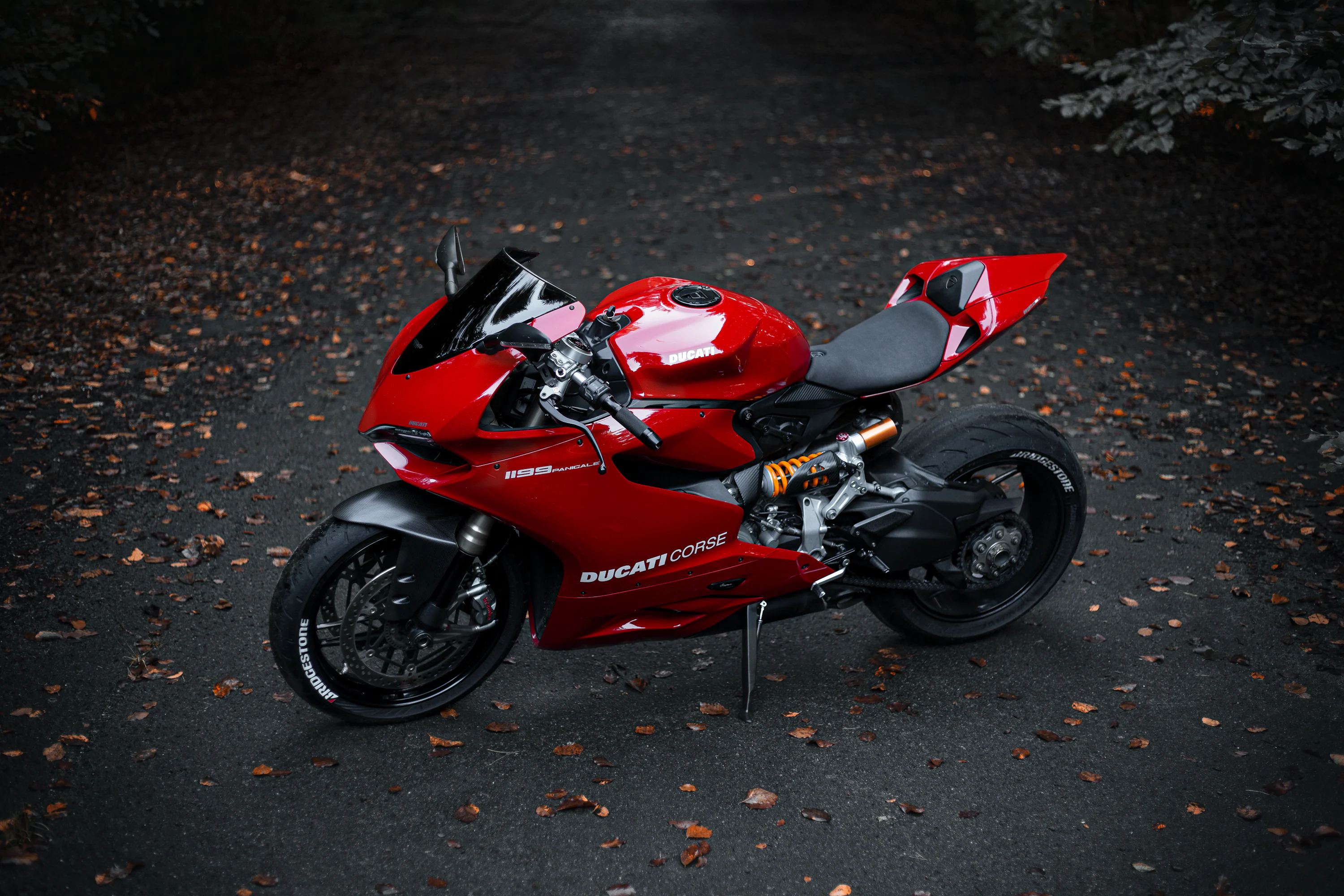 Ducati Panigale Picture. Download Free Image