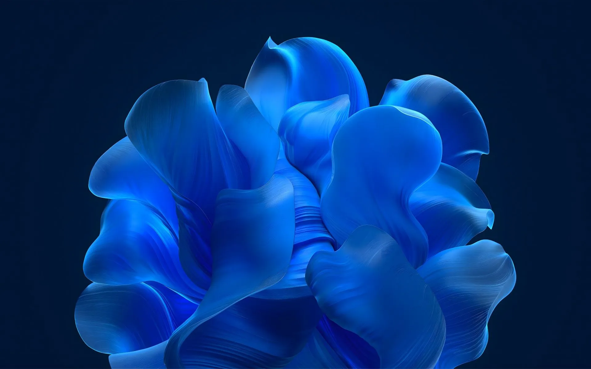 Windows 11 Wallpaper 4K, Blue aesthetic, Bloom collection
