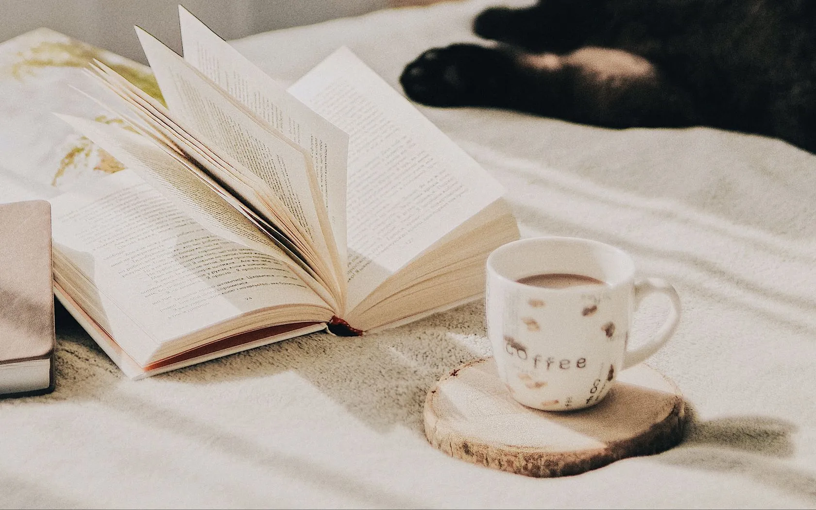 Download wallpaper 1680x1050 cup, coffee, book, pages, cat widescreen 16:10 HD background