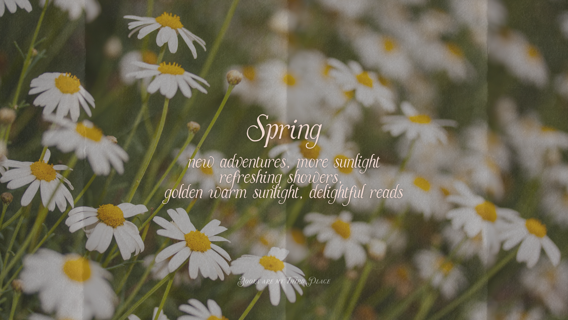 Complimentary Bookish Tech Background + Desktop Wallpaper for Spring 2025